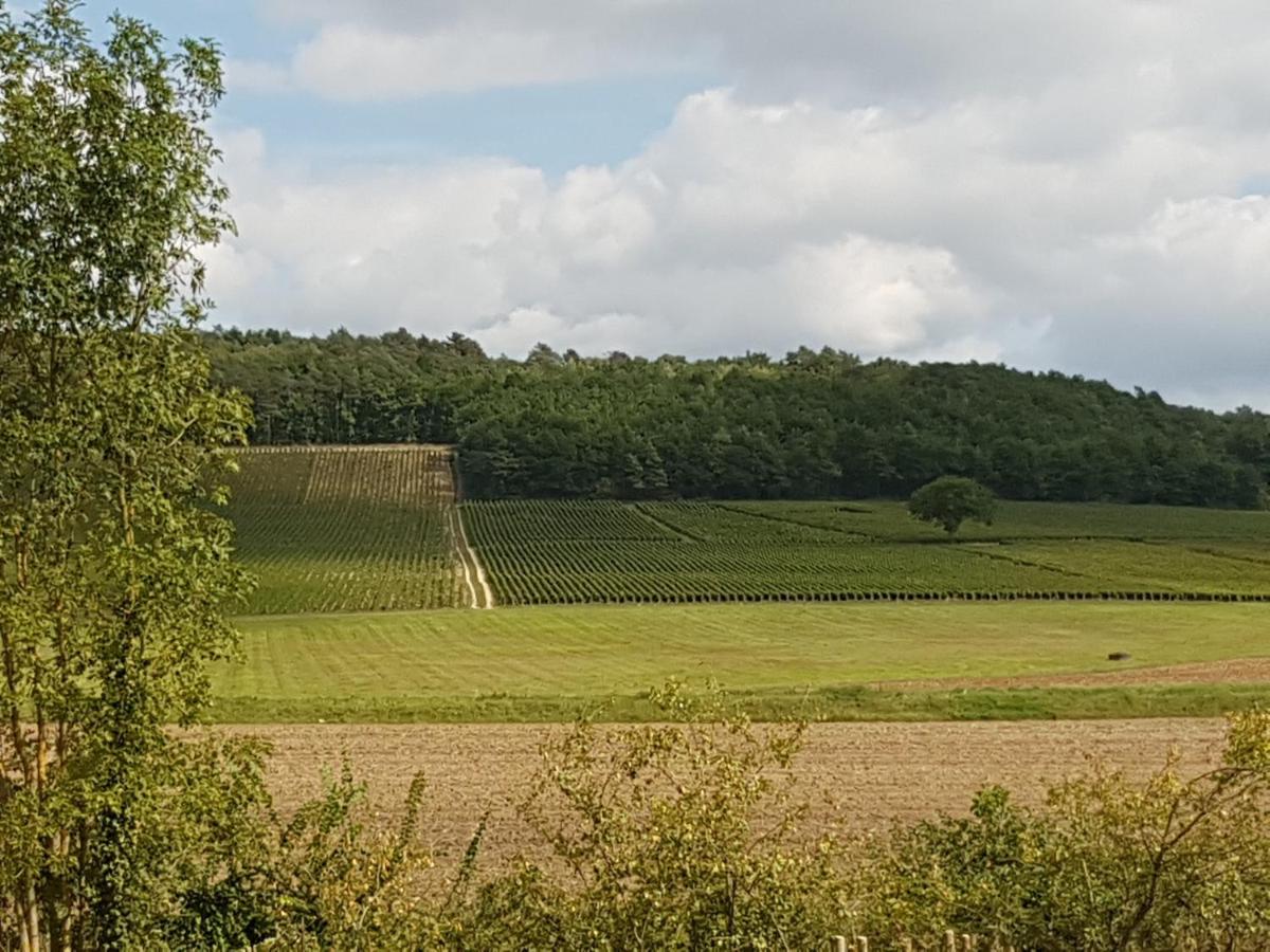 Seine en Bulles