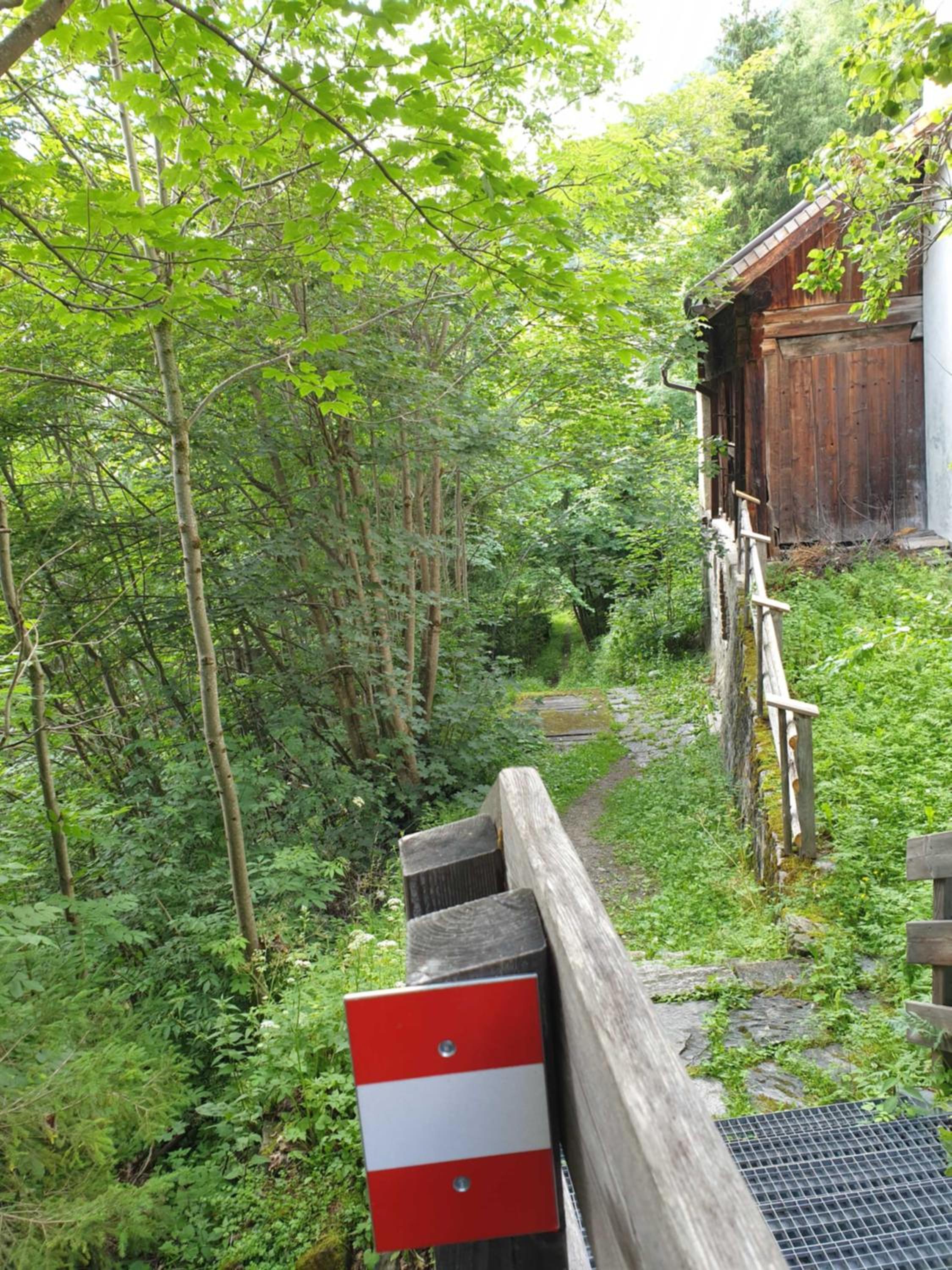 Photo 14