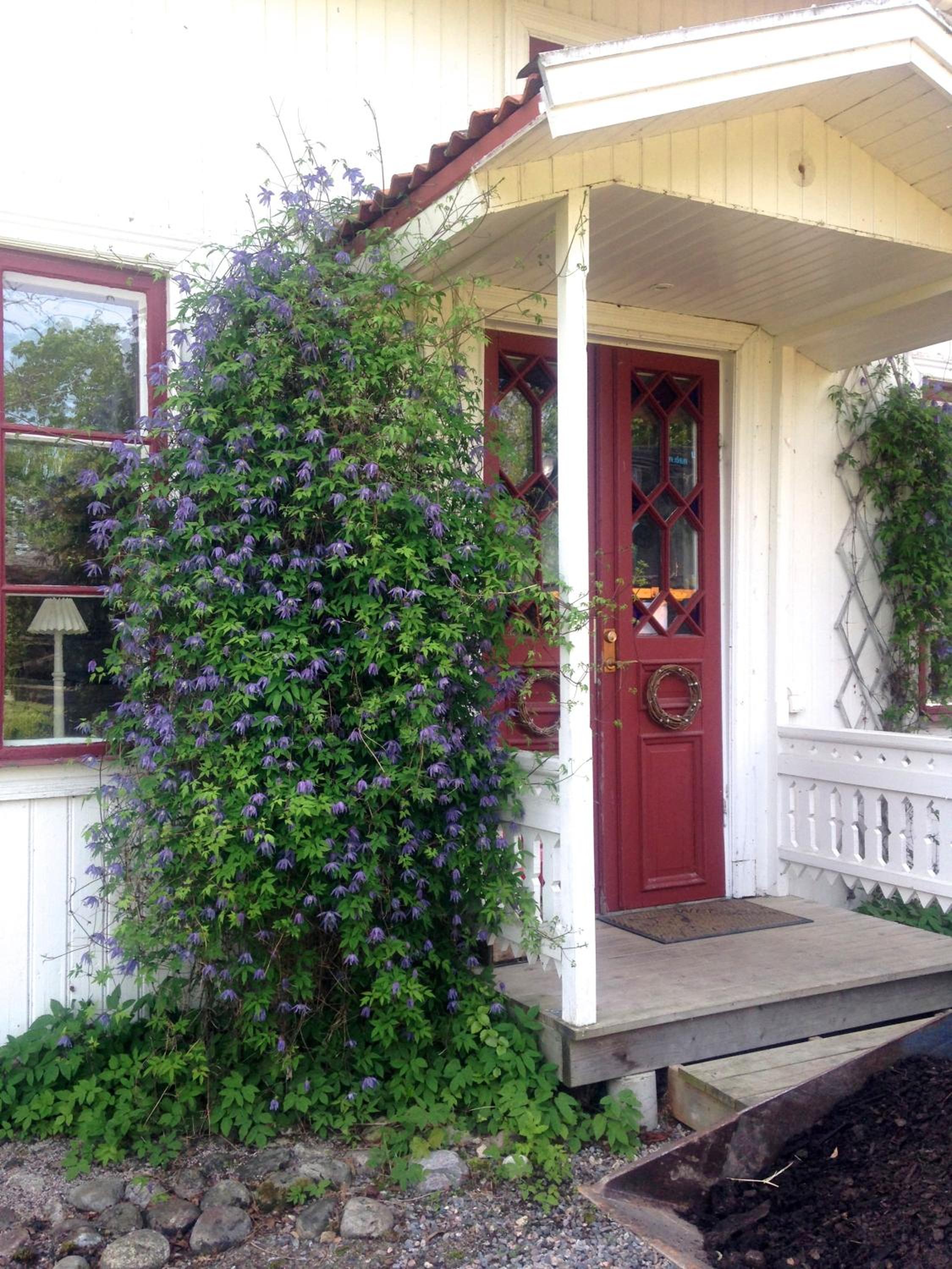 Photo 6