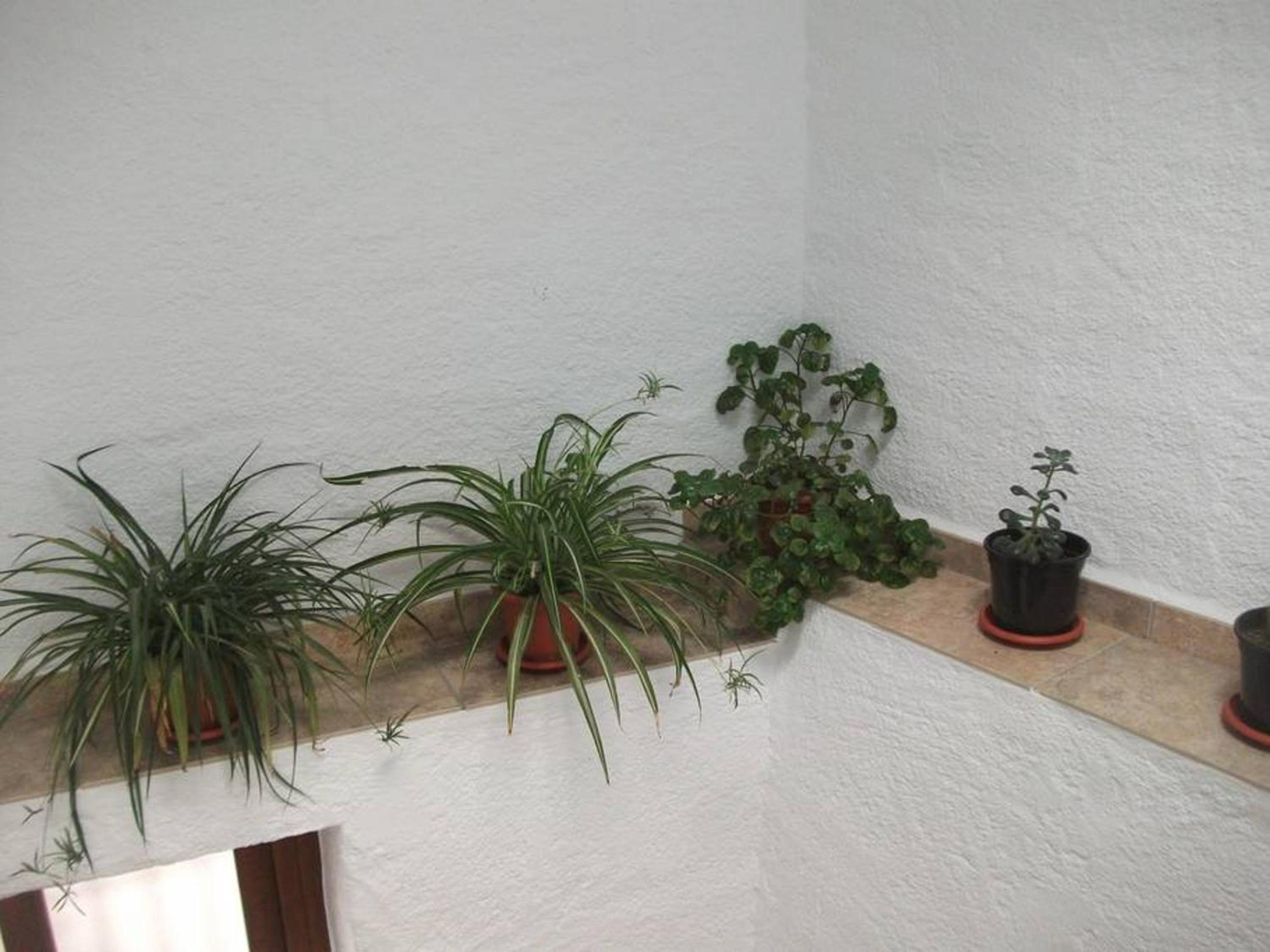 Charming House in Cádiar with View