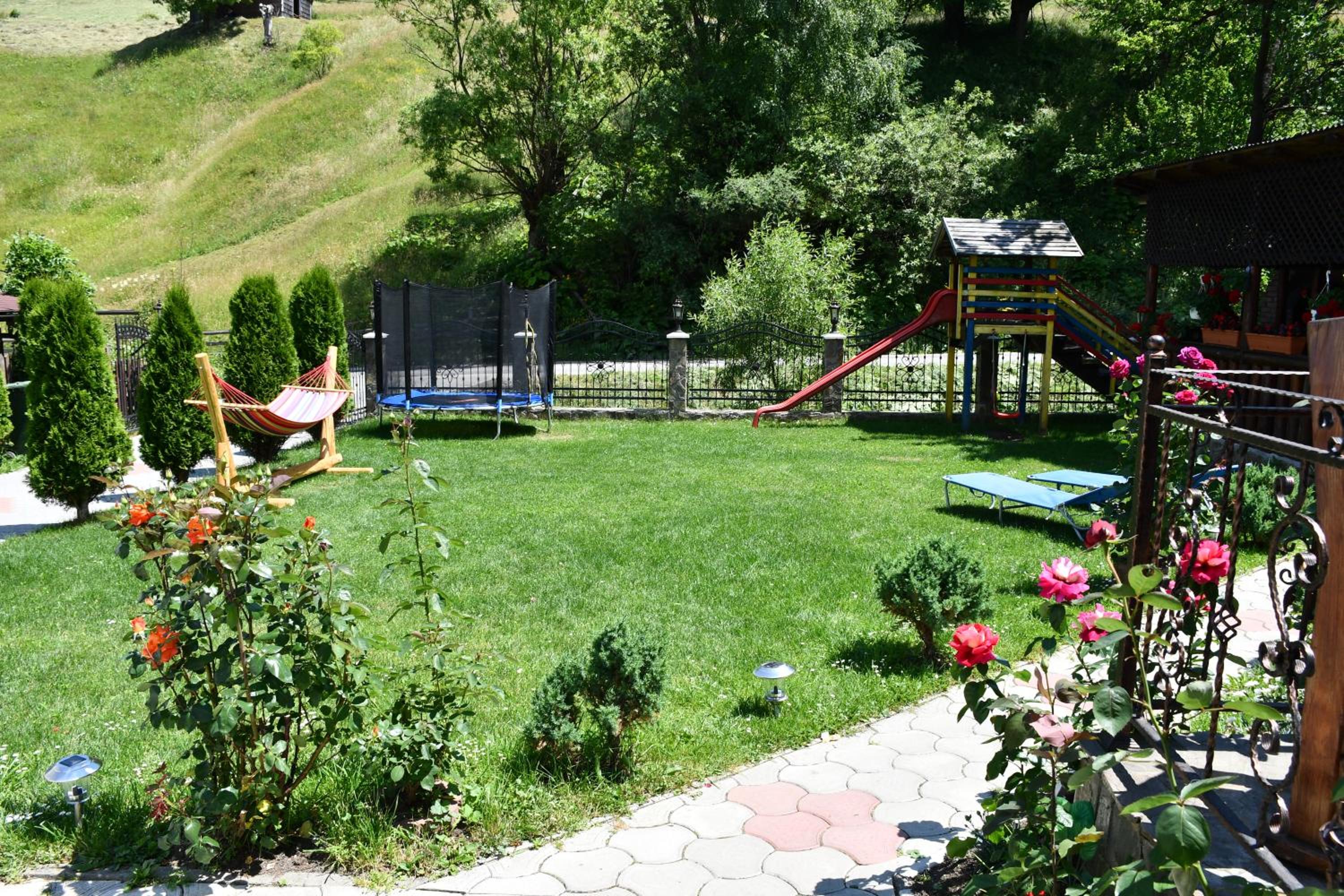 Photo 41