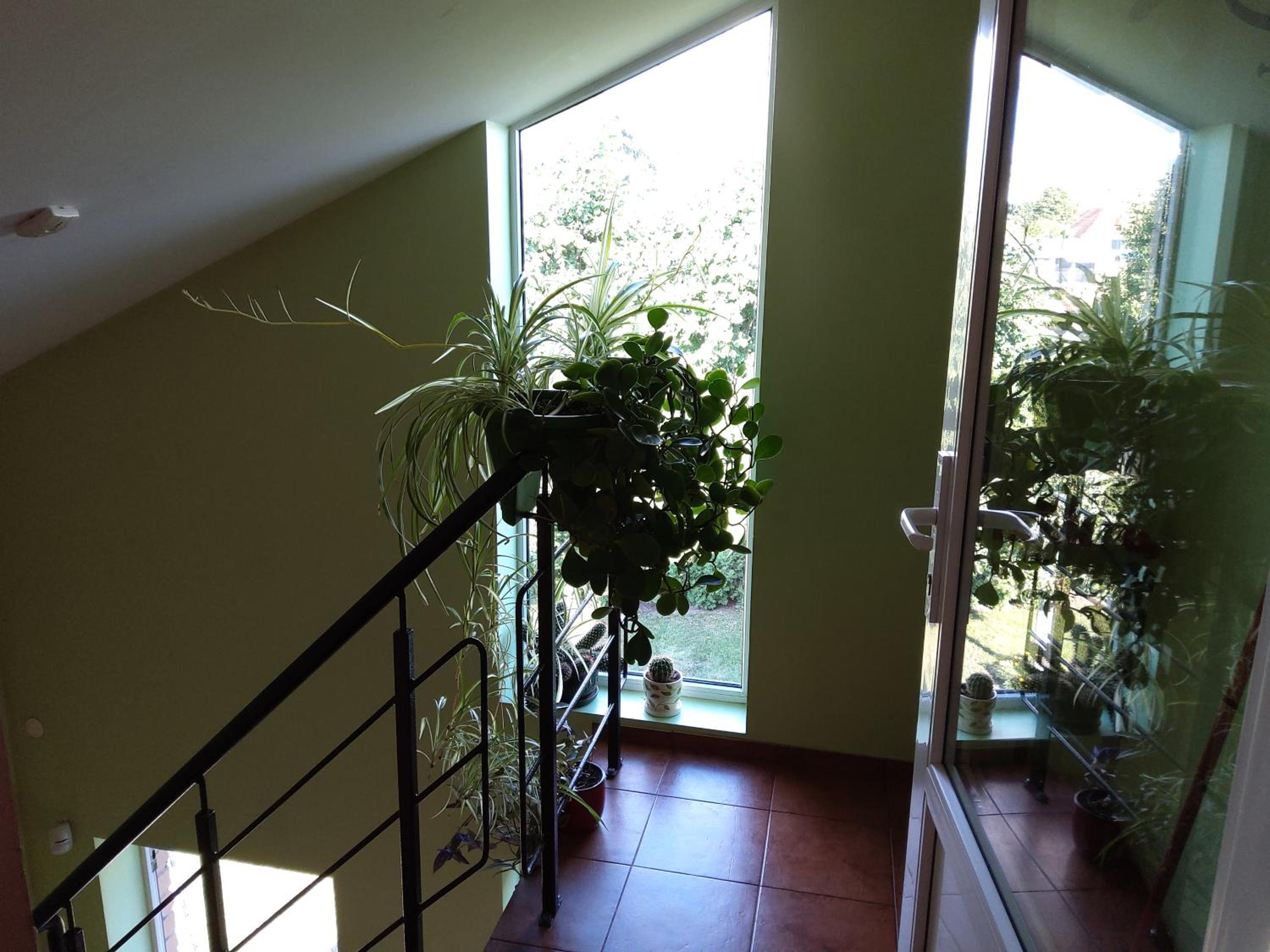 Apartamentai Gegučių gatvėje