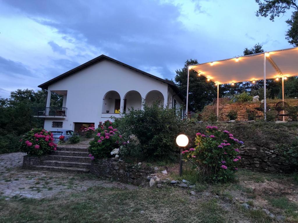 Photo 26