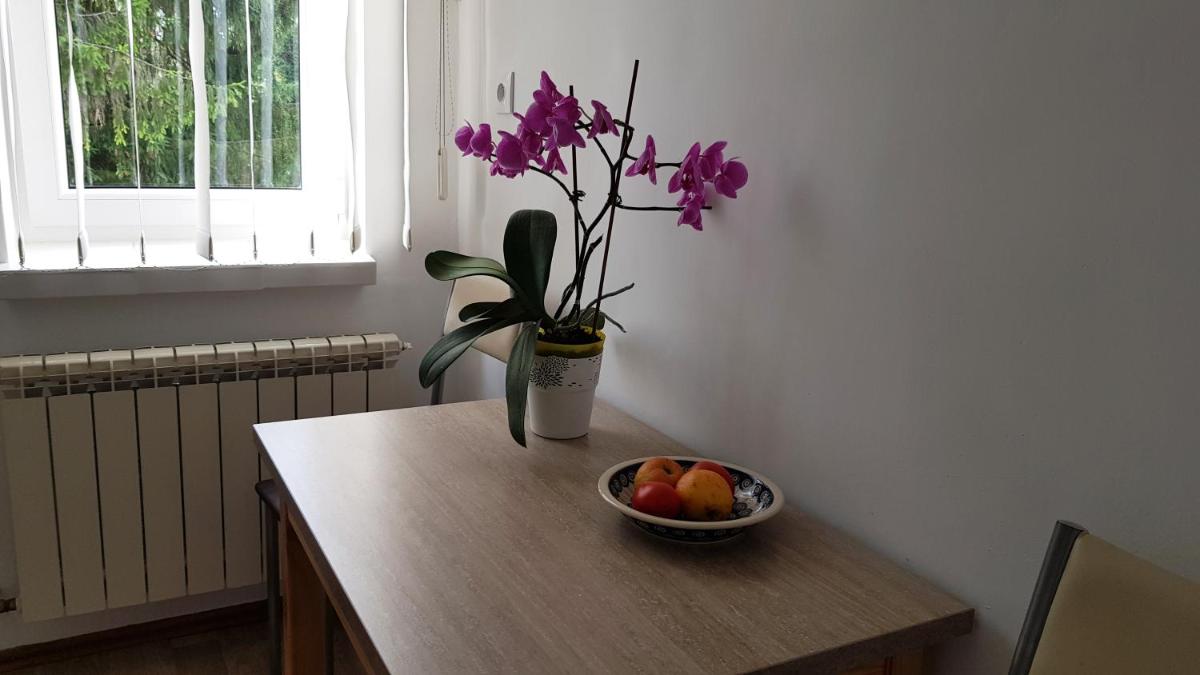 Apartament Tarnów-Mościce PRZY MOŚCIE view 4