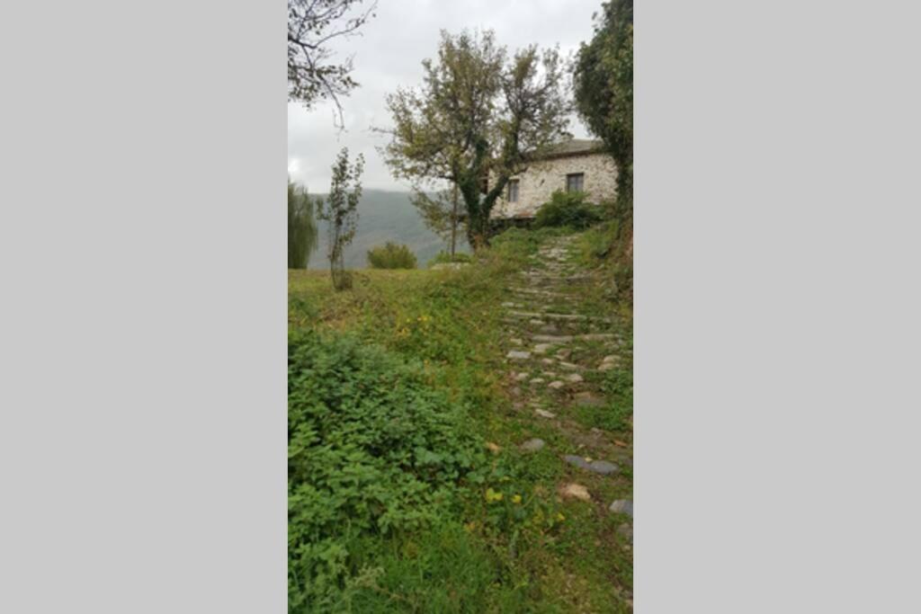 Photo 34