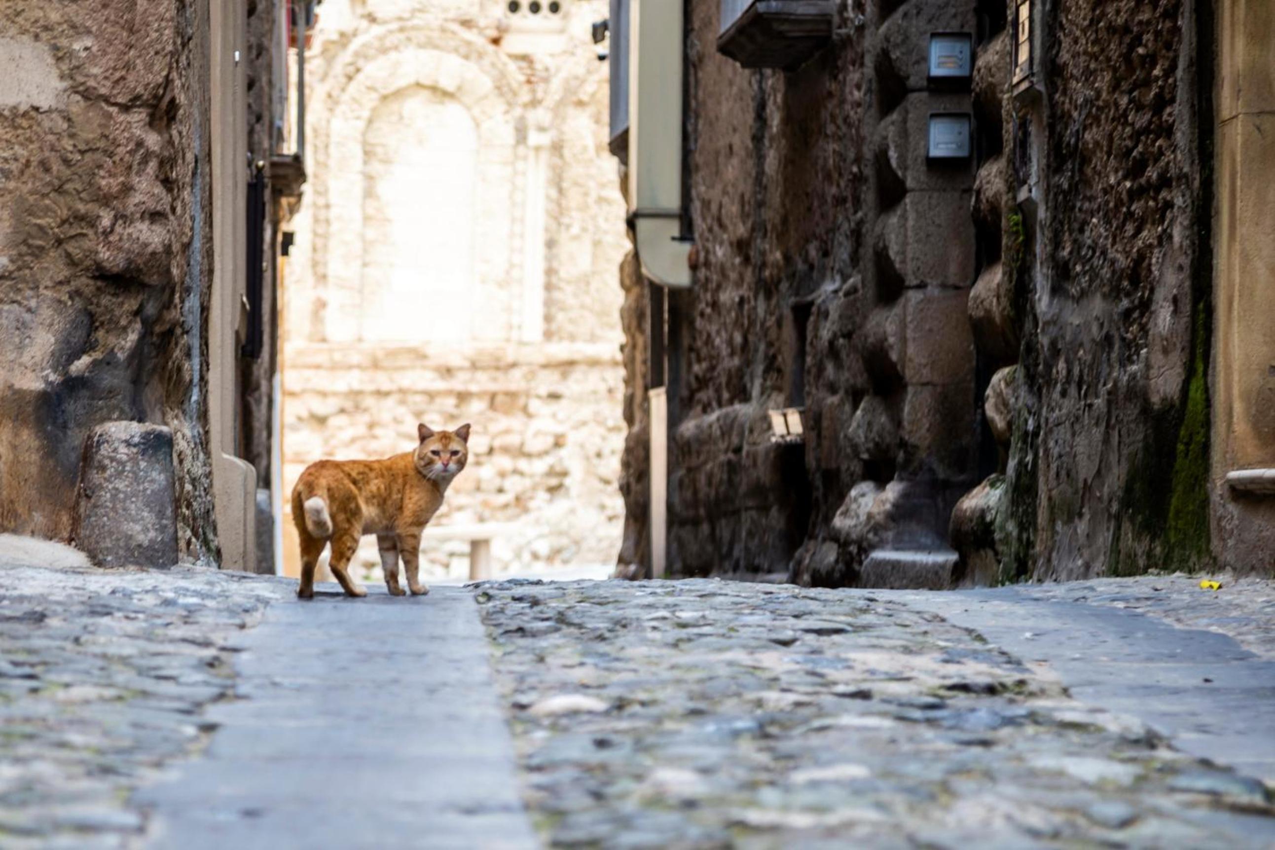 Suites Pastis Tropea - Boutique B&B by Kalavrìa Holidays