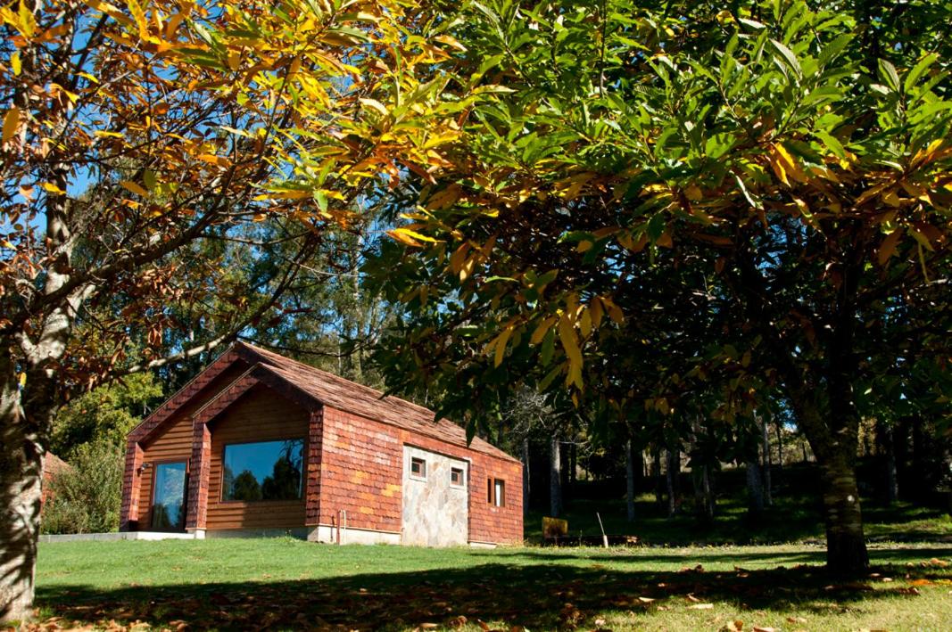 Cabañas Patagonia Lefun