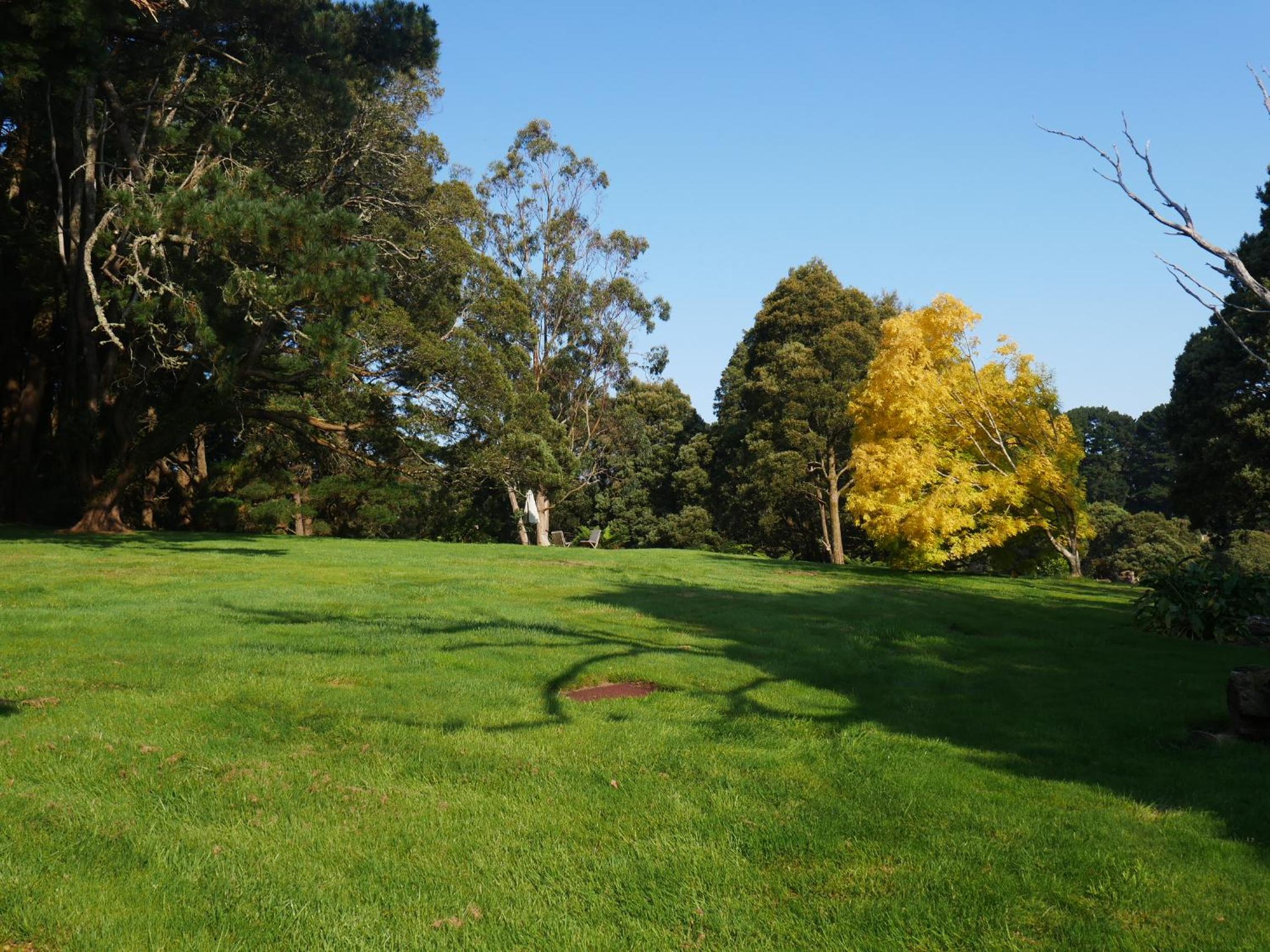 Photo 25