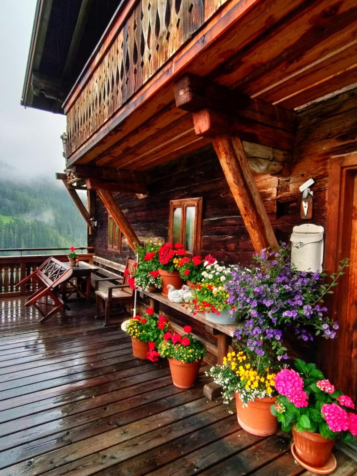 das alte Haus