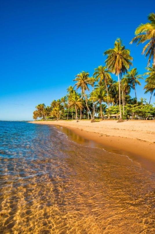 PRAIA DO FORTE - PISCINAS NATURAIS