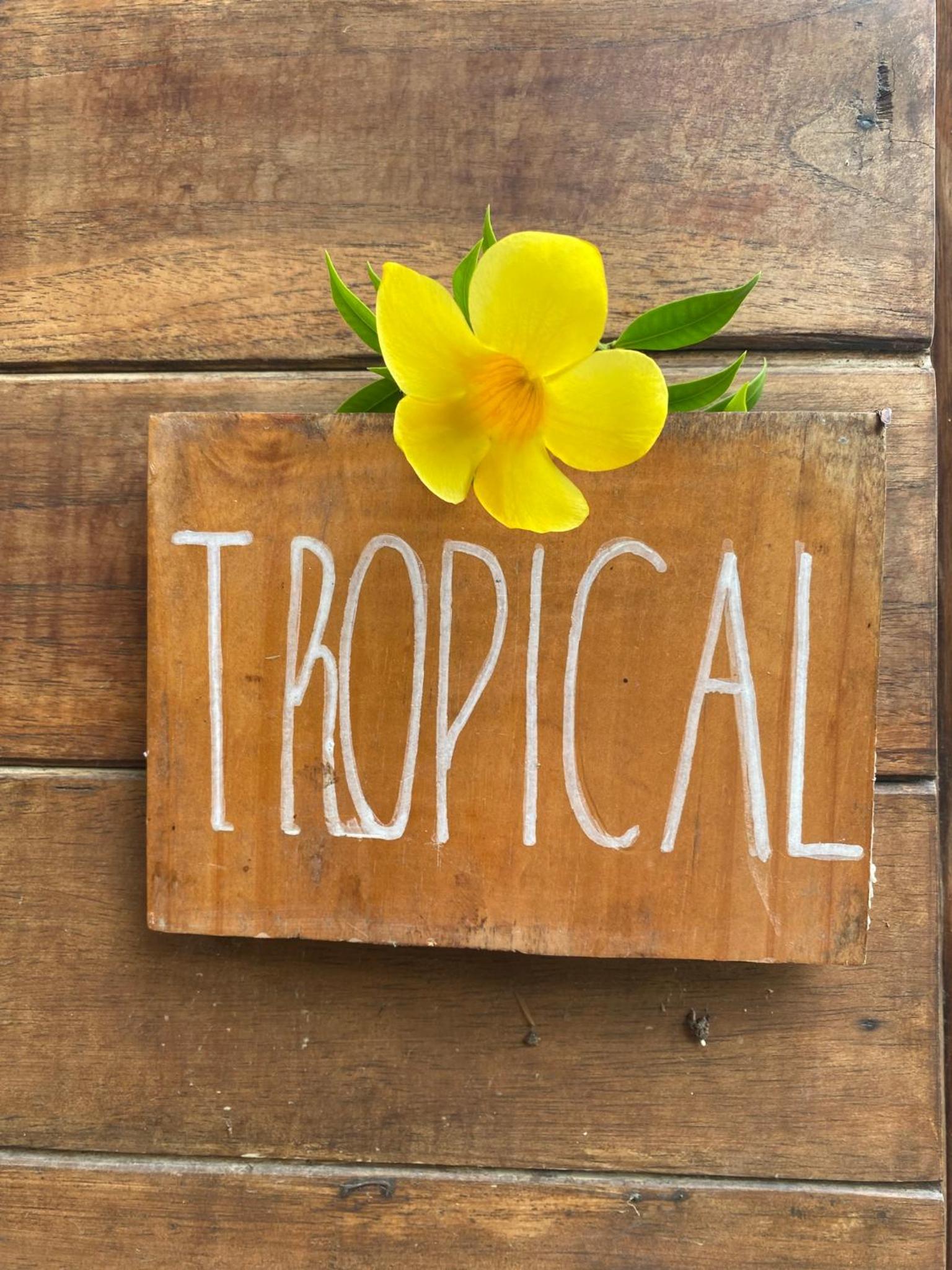 Tropical - Airy, open plan apartment in heart of Santa Teresa view 2