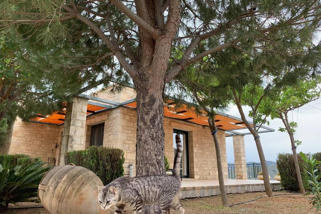 Frati Stone House photo 5