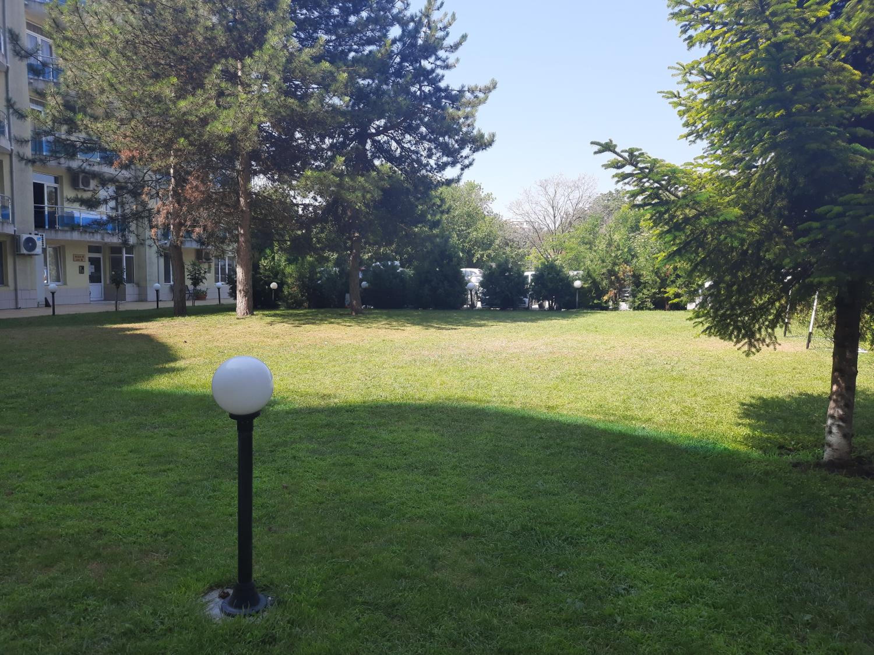 Photo 41