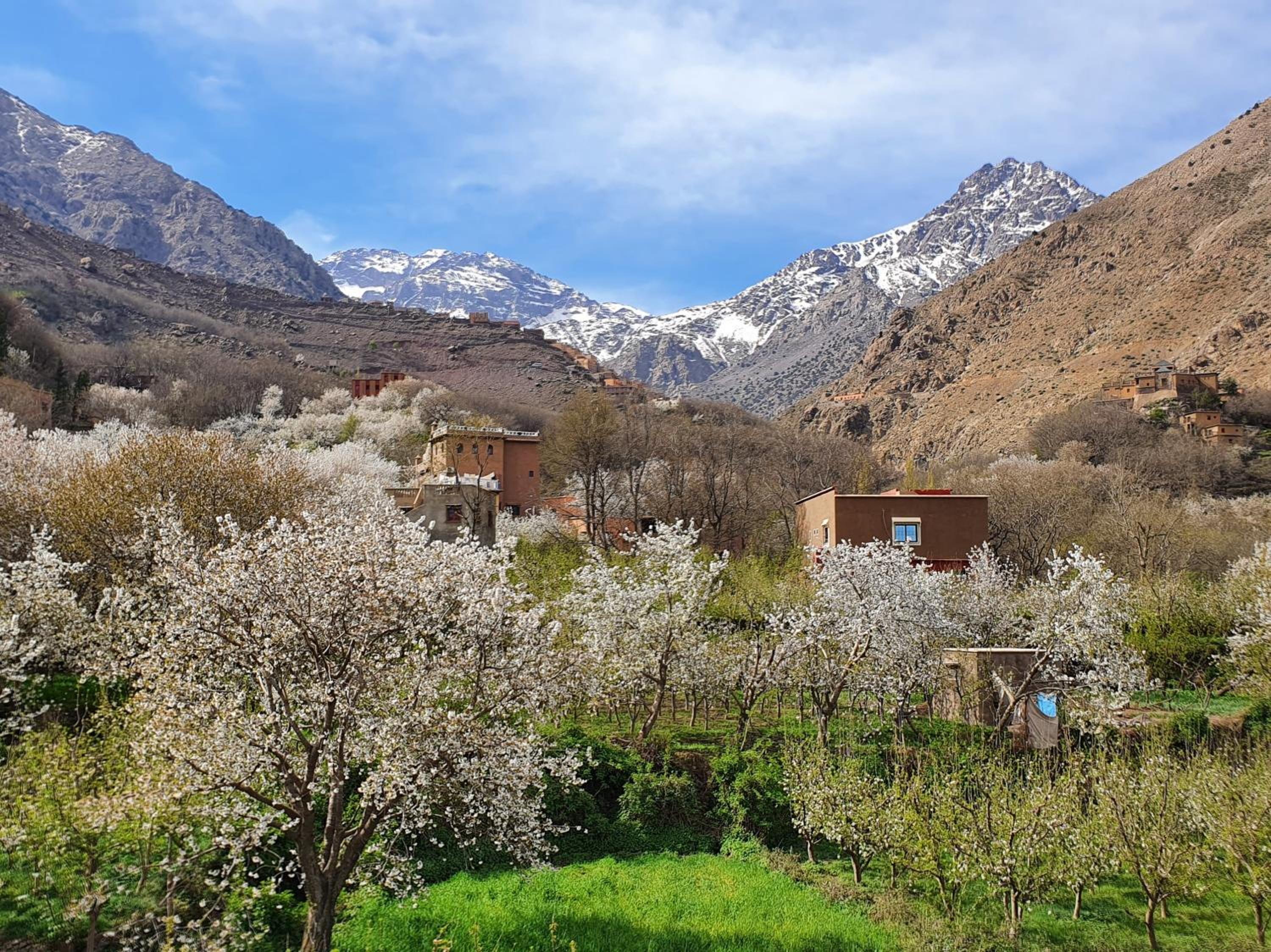 Dar Assarou - Toubkal National Park Lodge view 4