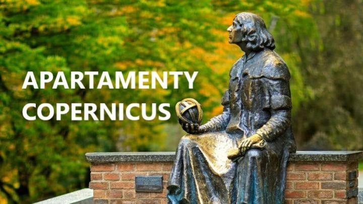 Copernicus 10, photo 11