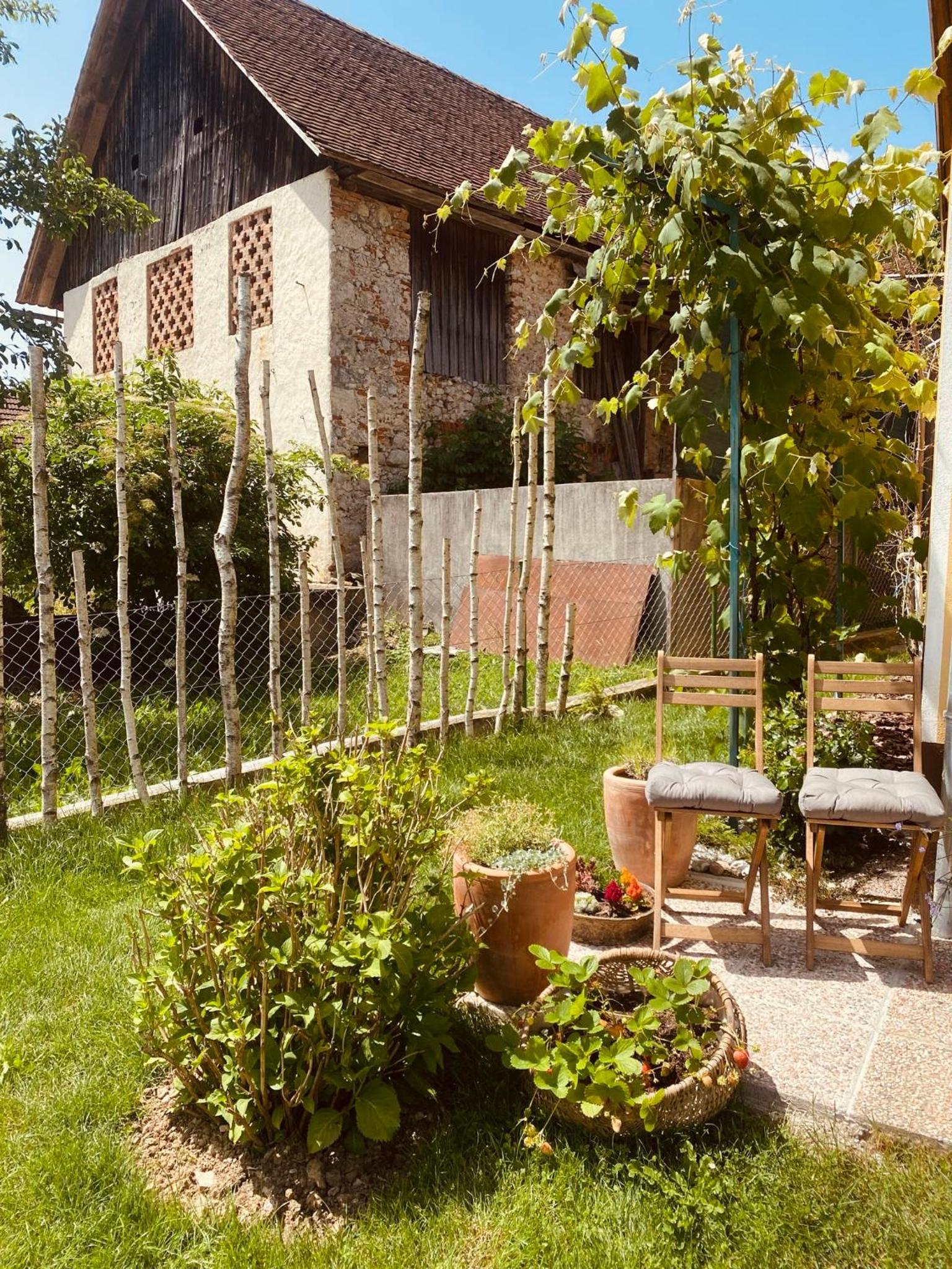 Photo 23
