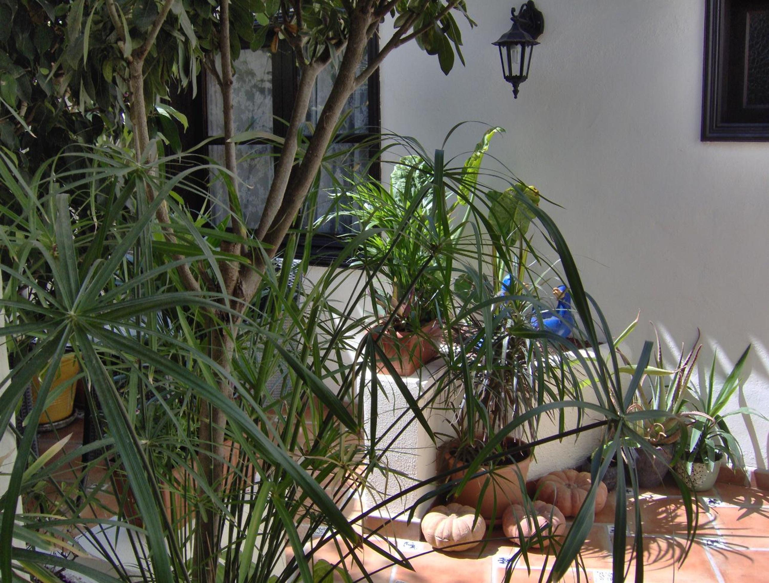 Mediterranean holiday home with small patio-terrace