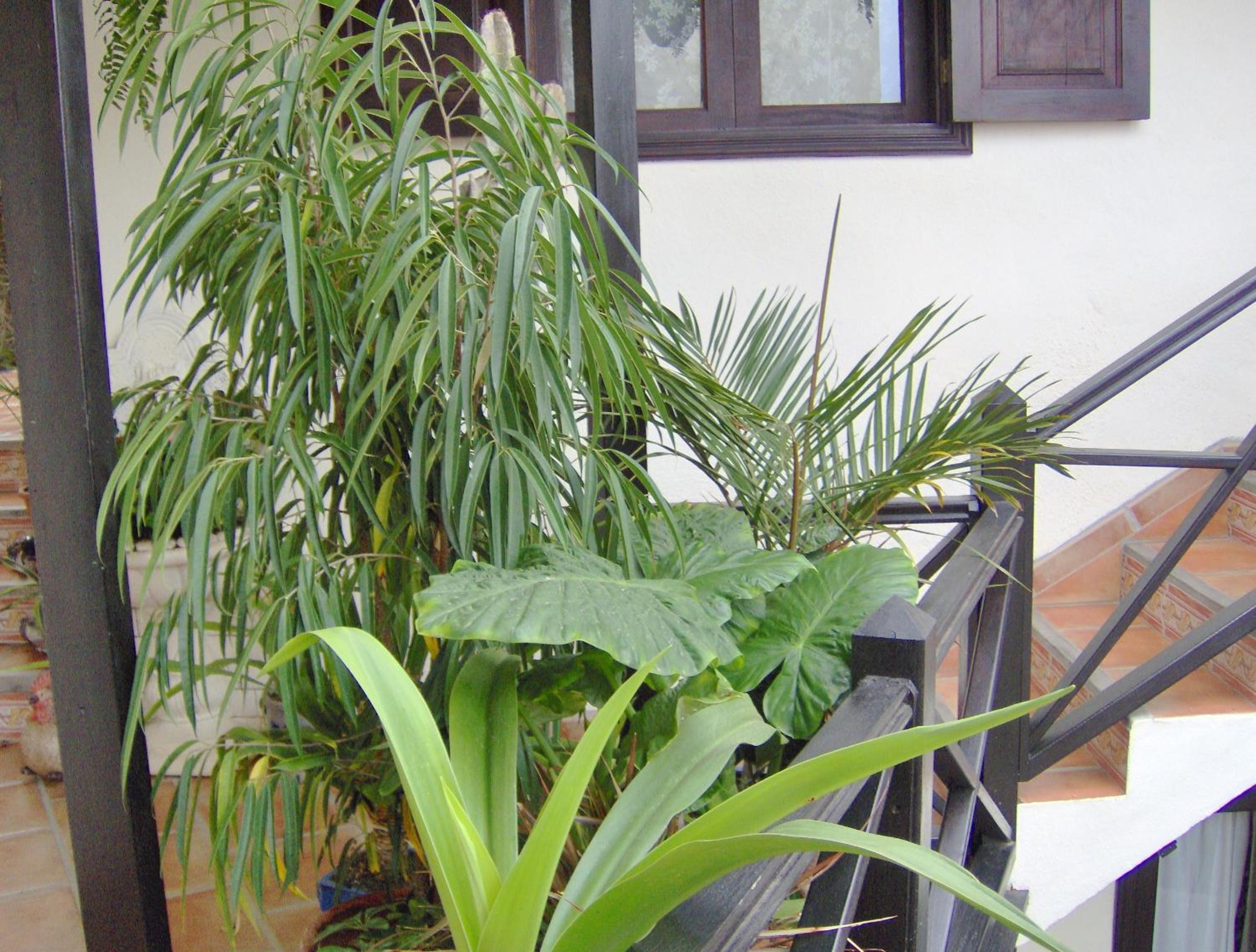 Photo 24