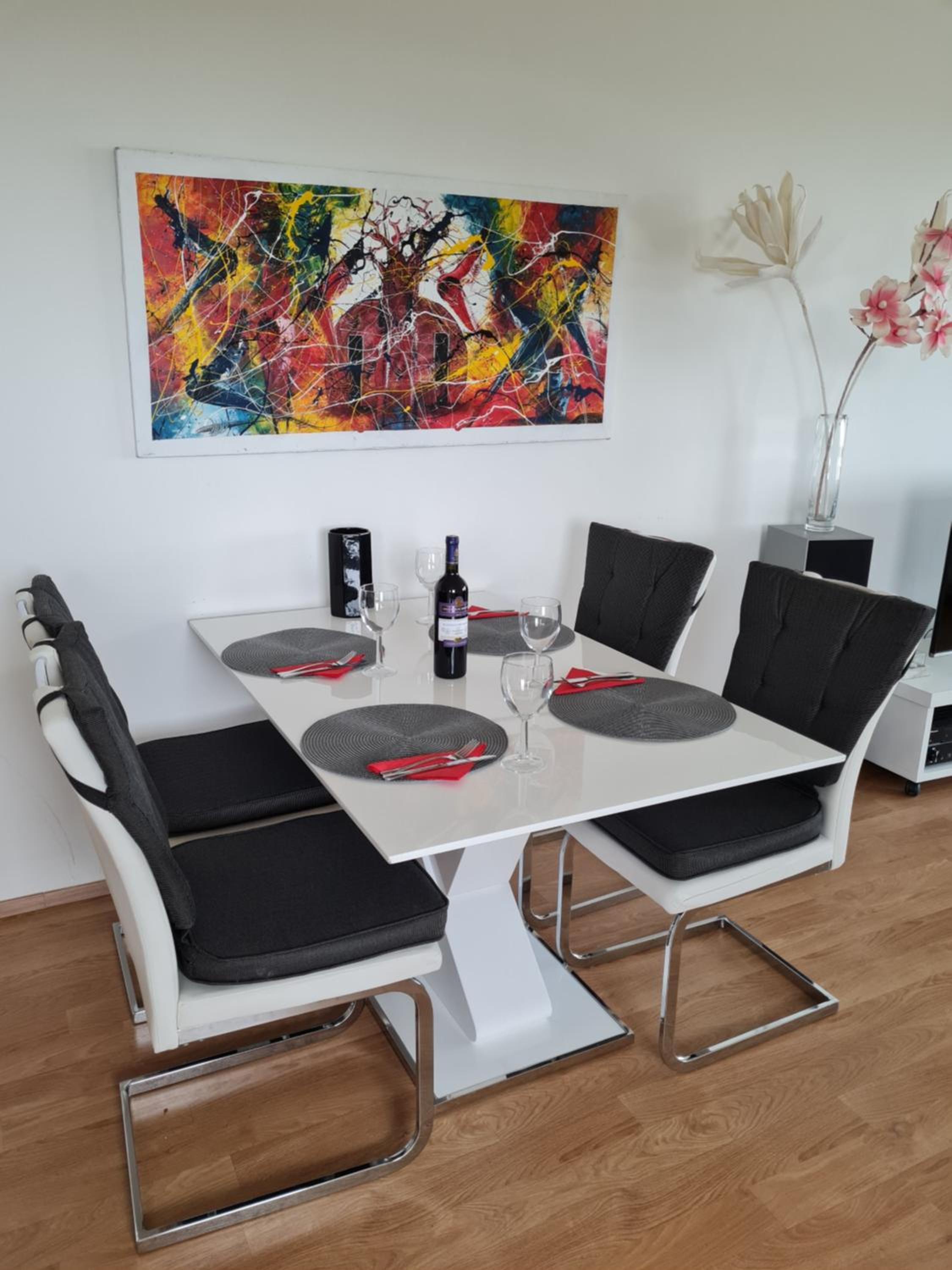 Spacious 3- rooms appartment with two terraces