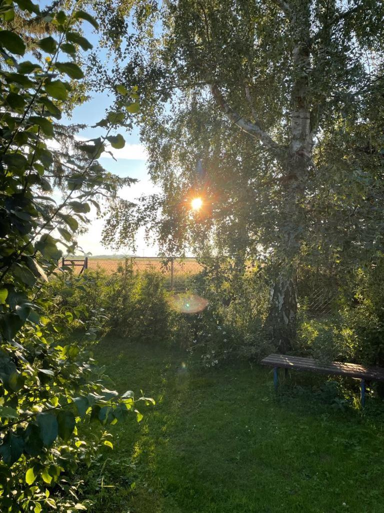 Photo 54