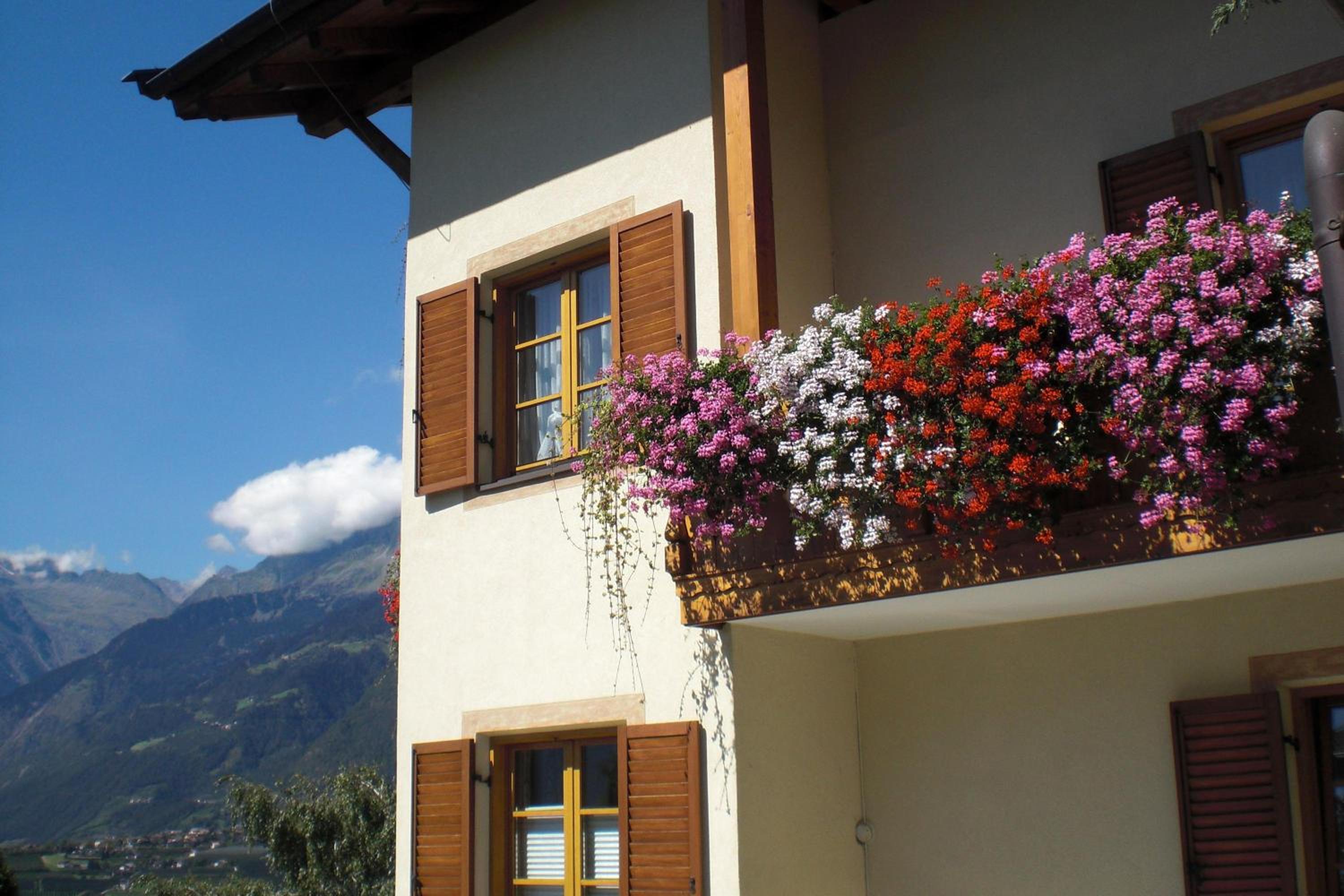 Texelblick Rainegg view 5