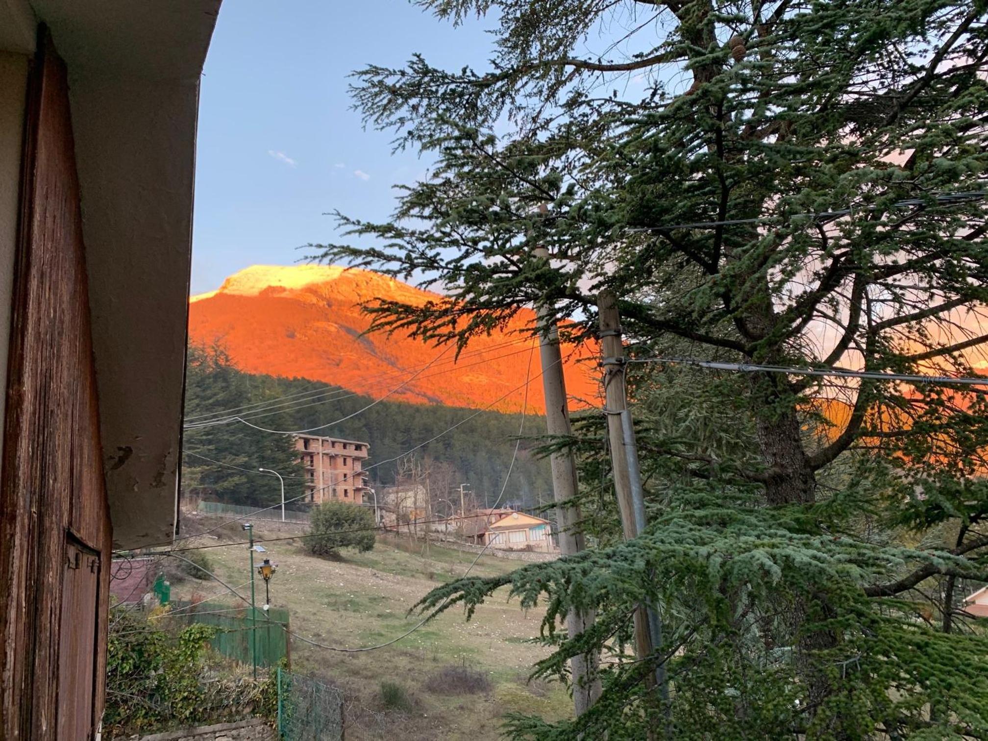 Esclusivo chalet immerso nel verde view 2