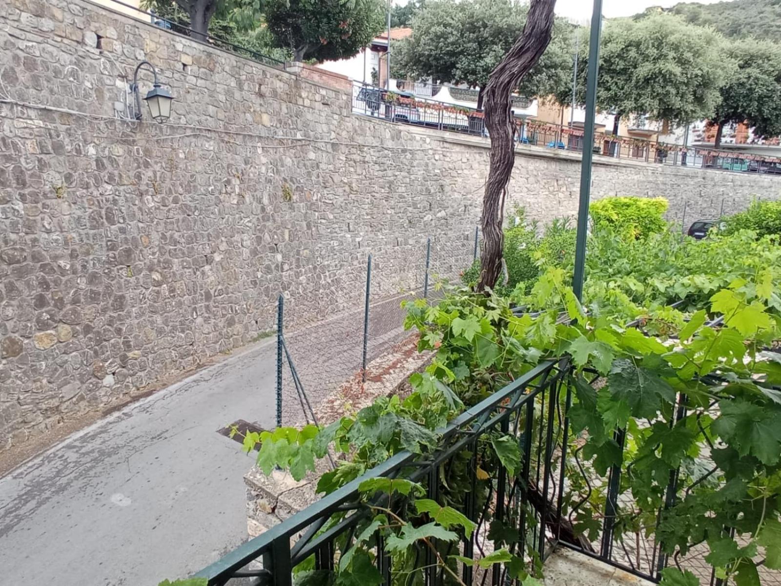 Casa ALCA view 2