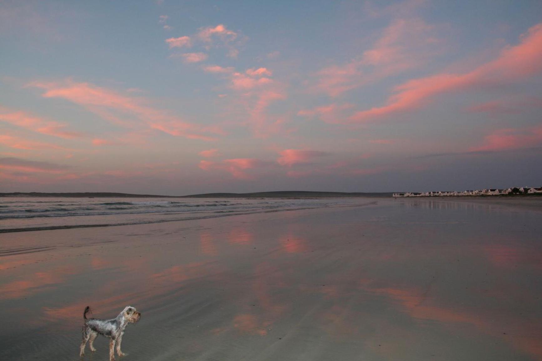 Baywatch Paternoster - The Cottage view 5