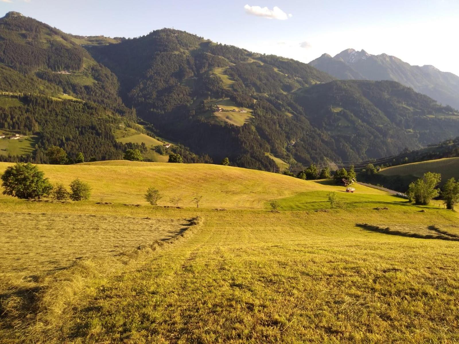 Lindbichlhof Urlaub am Bio Bauernhof