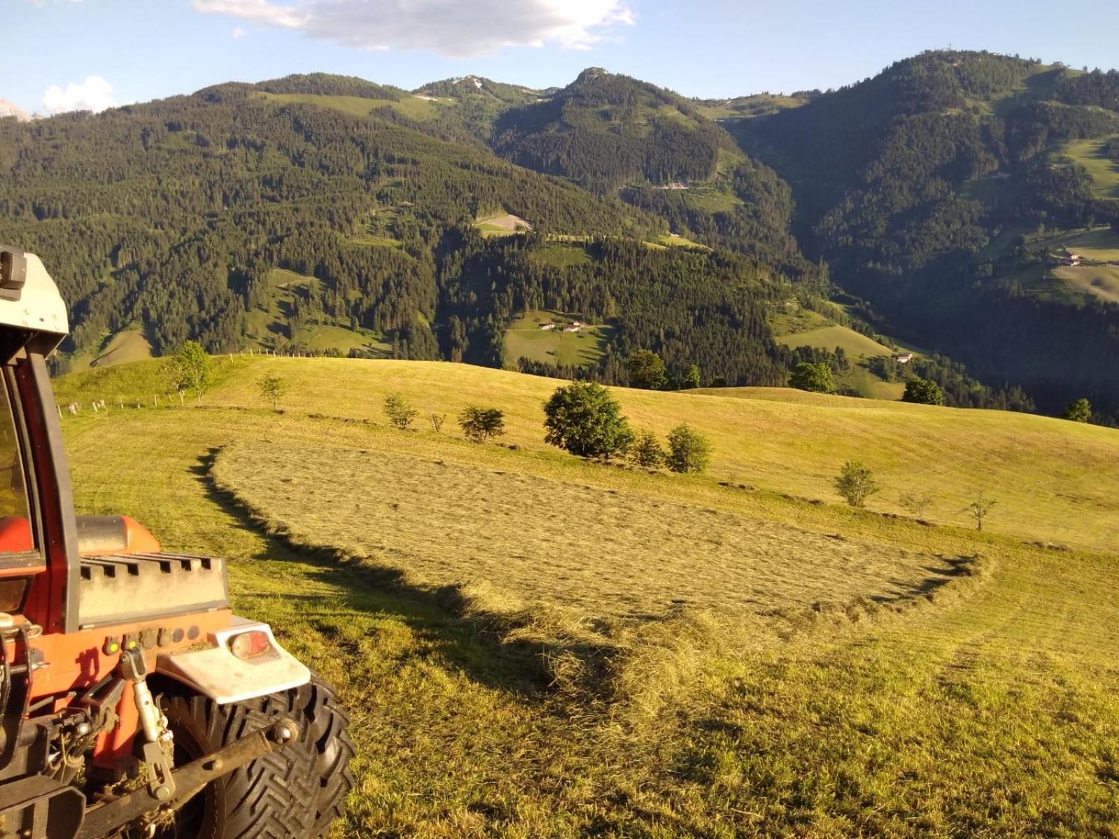 Lindbichlhof Urlaub am Bio Bauernhof