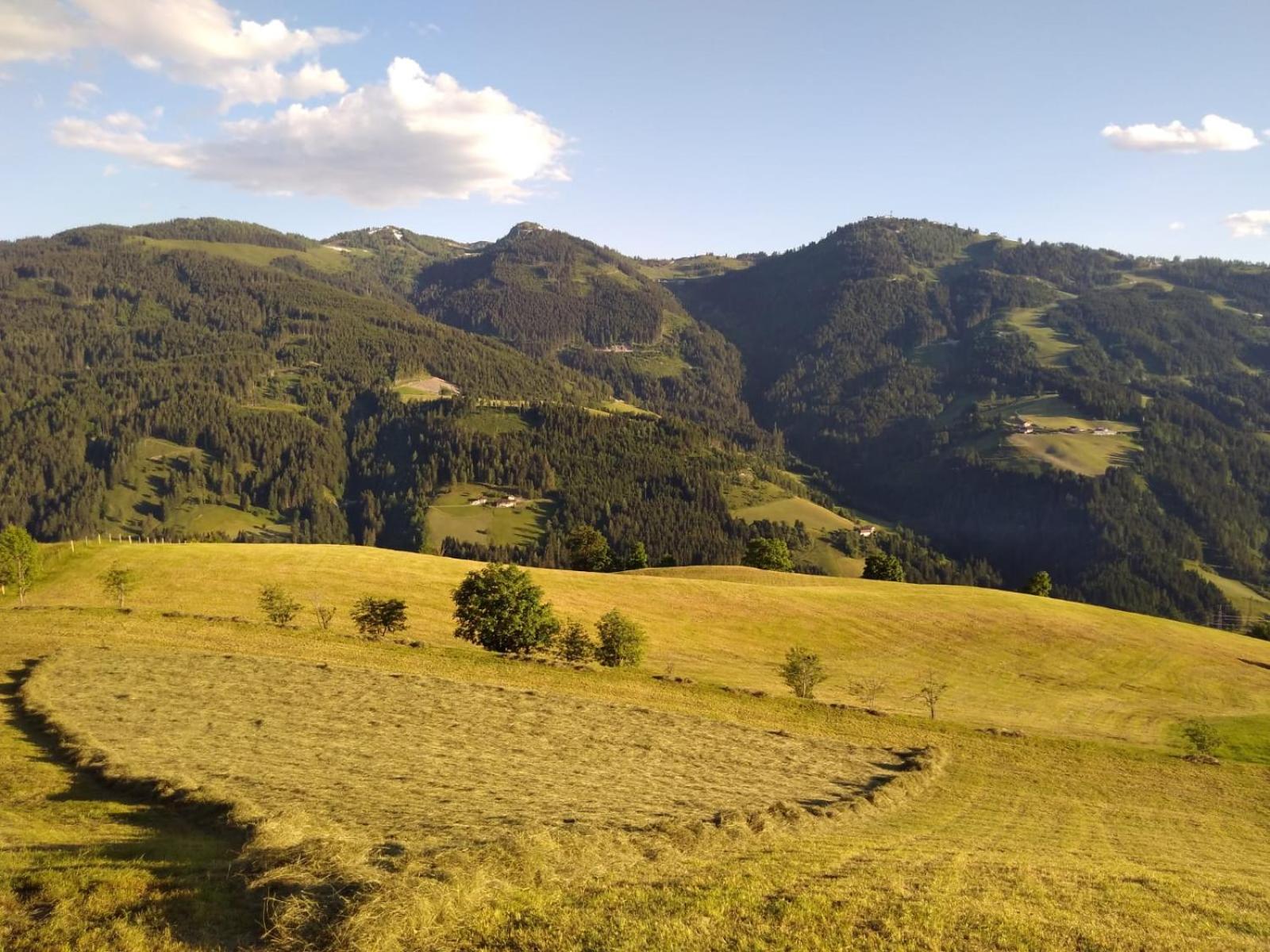Lindbichlhof Urlaub am Bio Bauernhof