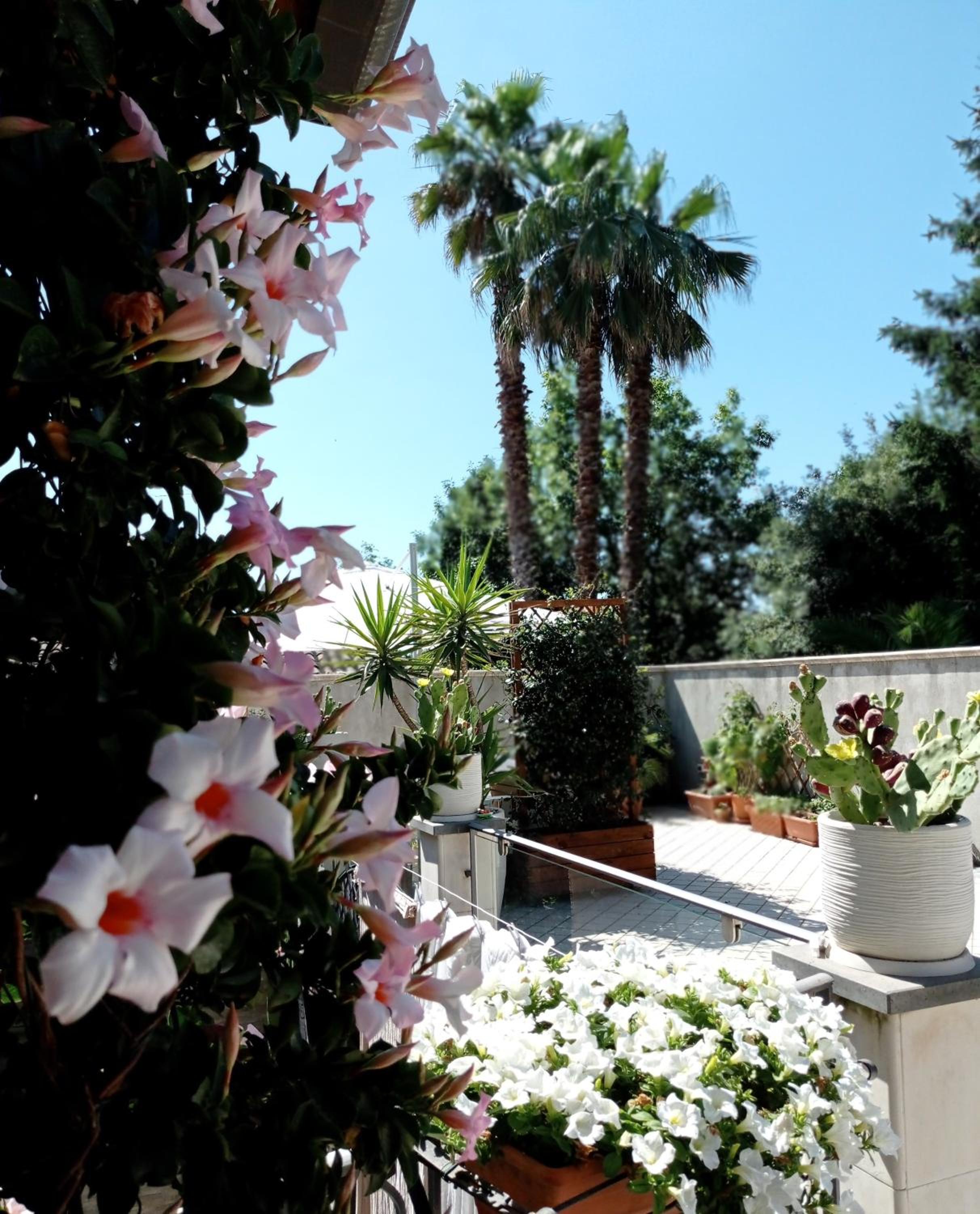 B&B Casa Althea view 4