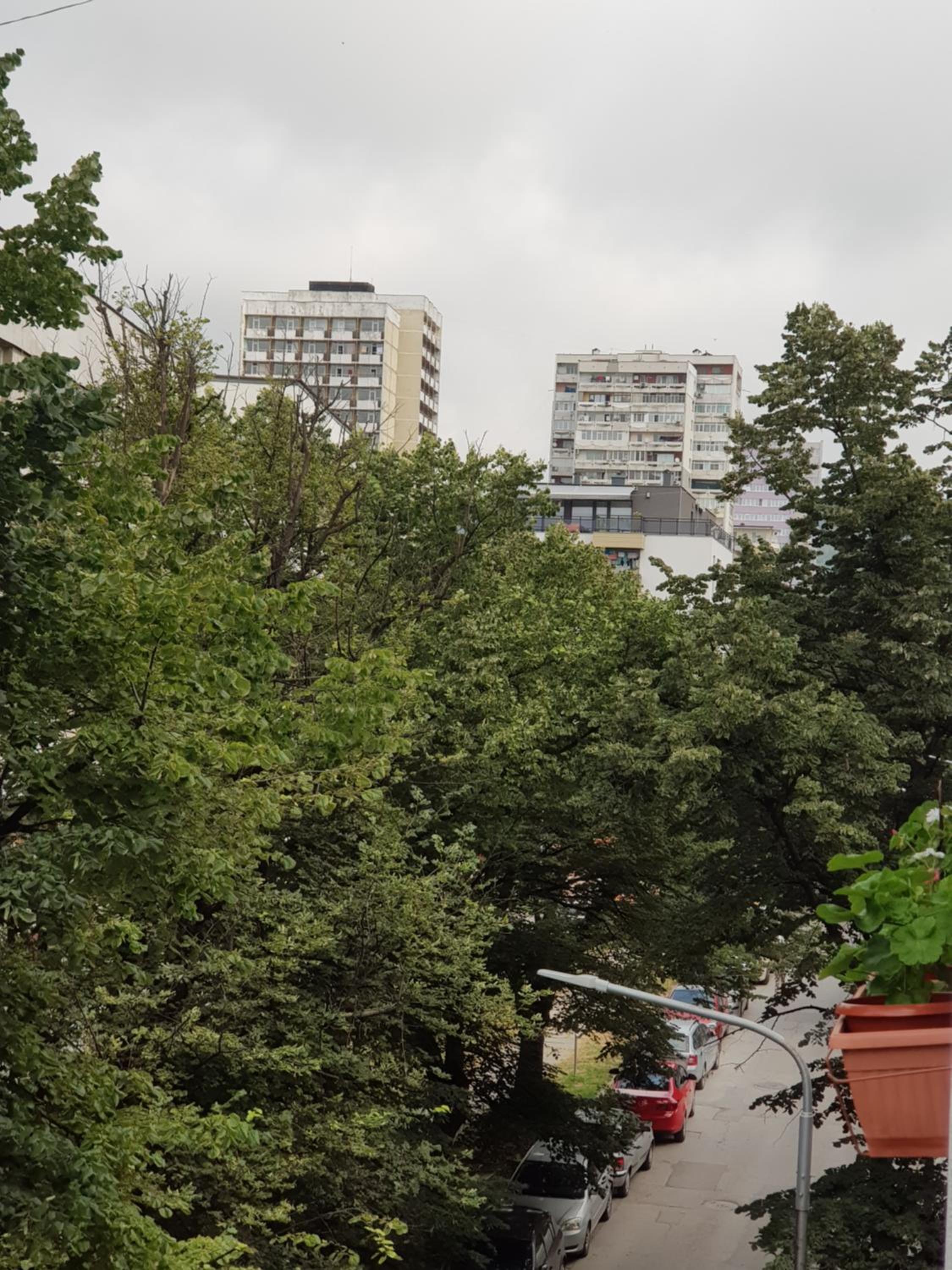 Apartment Wild Walnut view 5