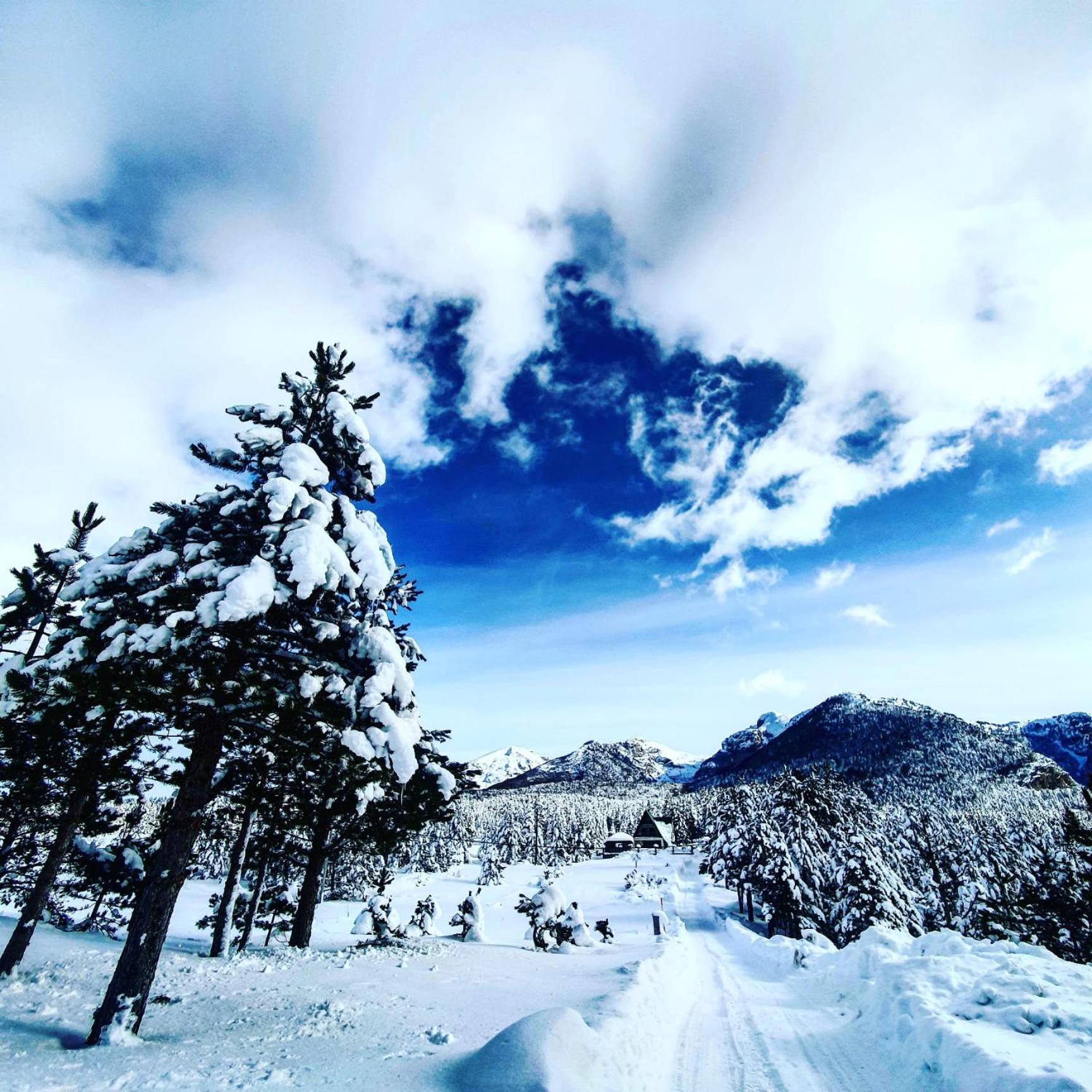 Vikendica Blidinje Čarobna kuća