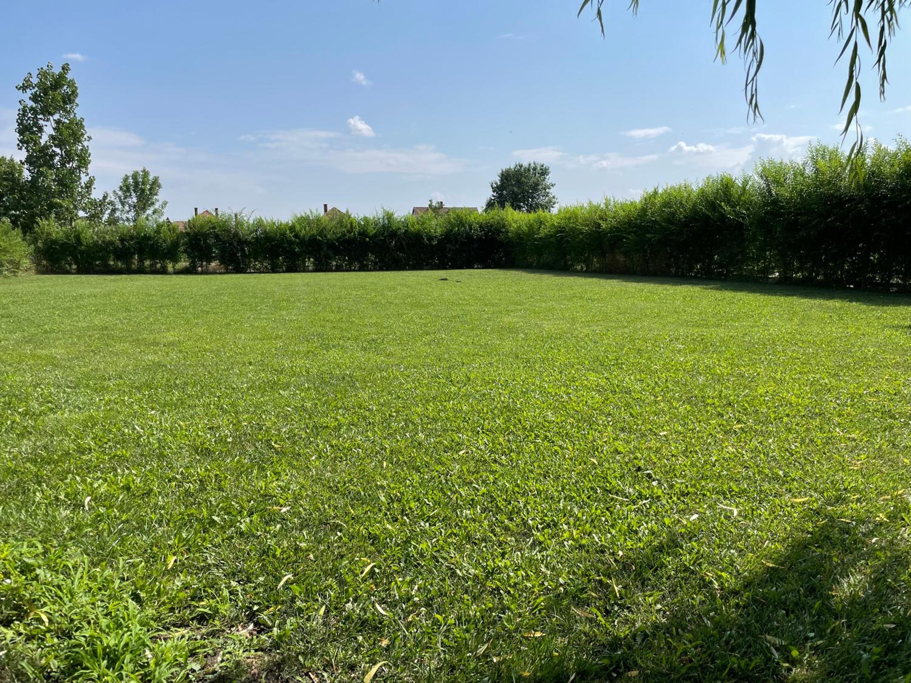 Photo 36