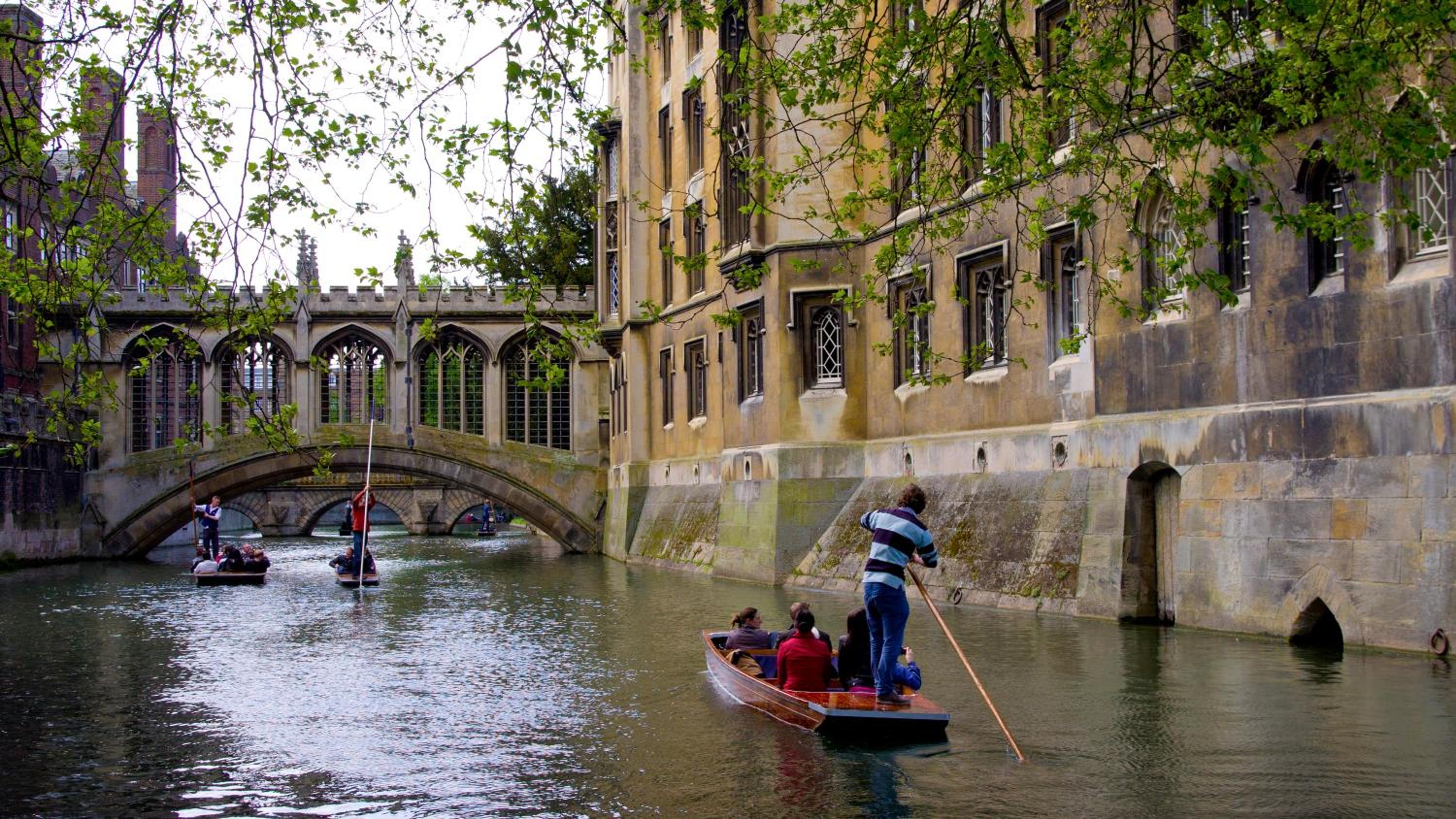 Photo 57
