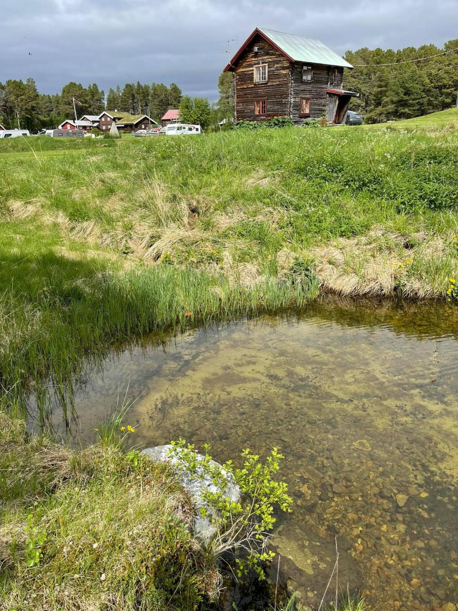 Photo 17