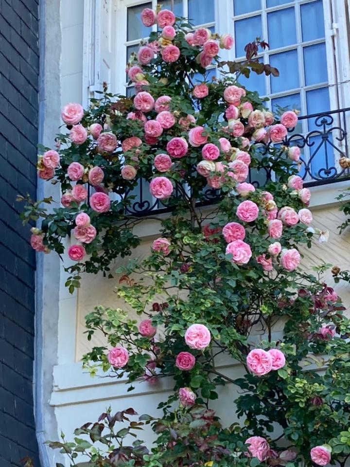 Deauville Vacations - Le Mascaret - Property Image 10