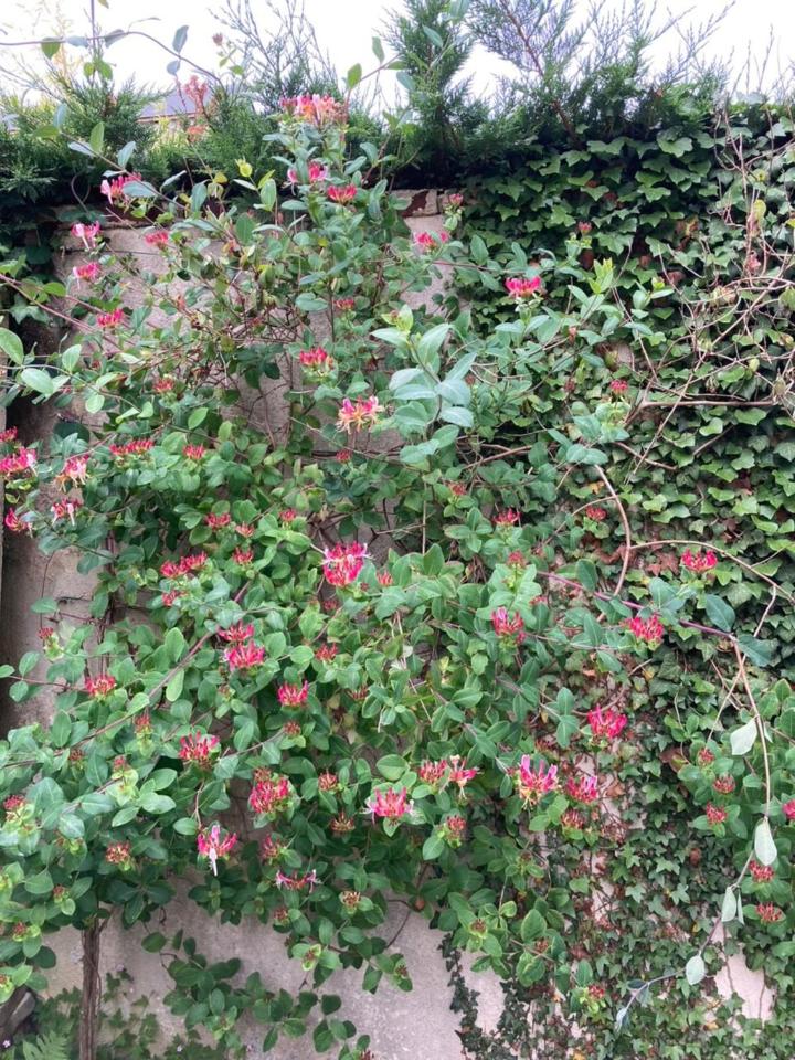 Deauville Vacations - Le Mascaret - Property Image 9