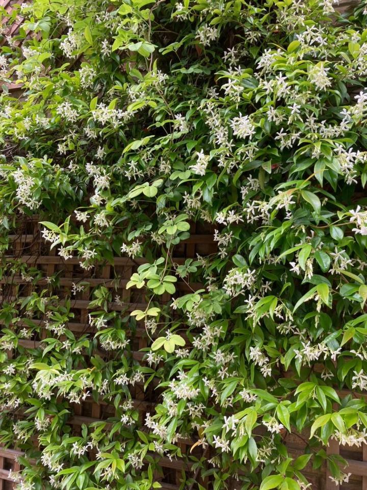 Deauville Vacations - Le Mascaret - Property Image 11