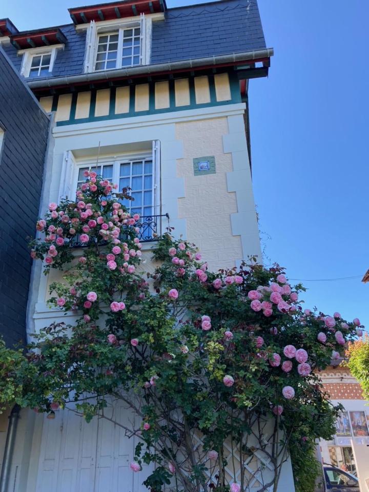 Deauville Vacations - Le Mascaret - Property Image 29