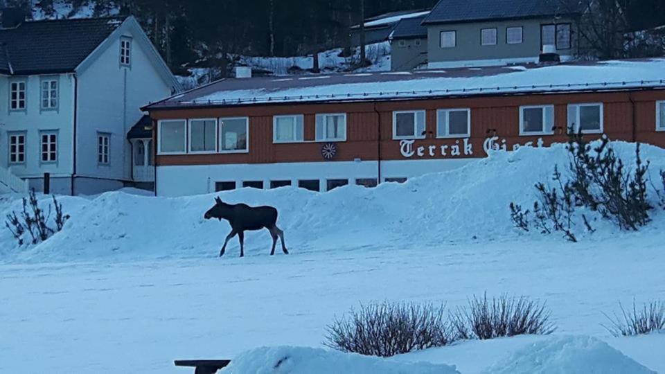 Terråk Gjestegård