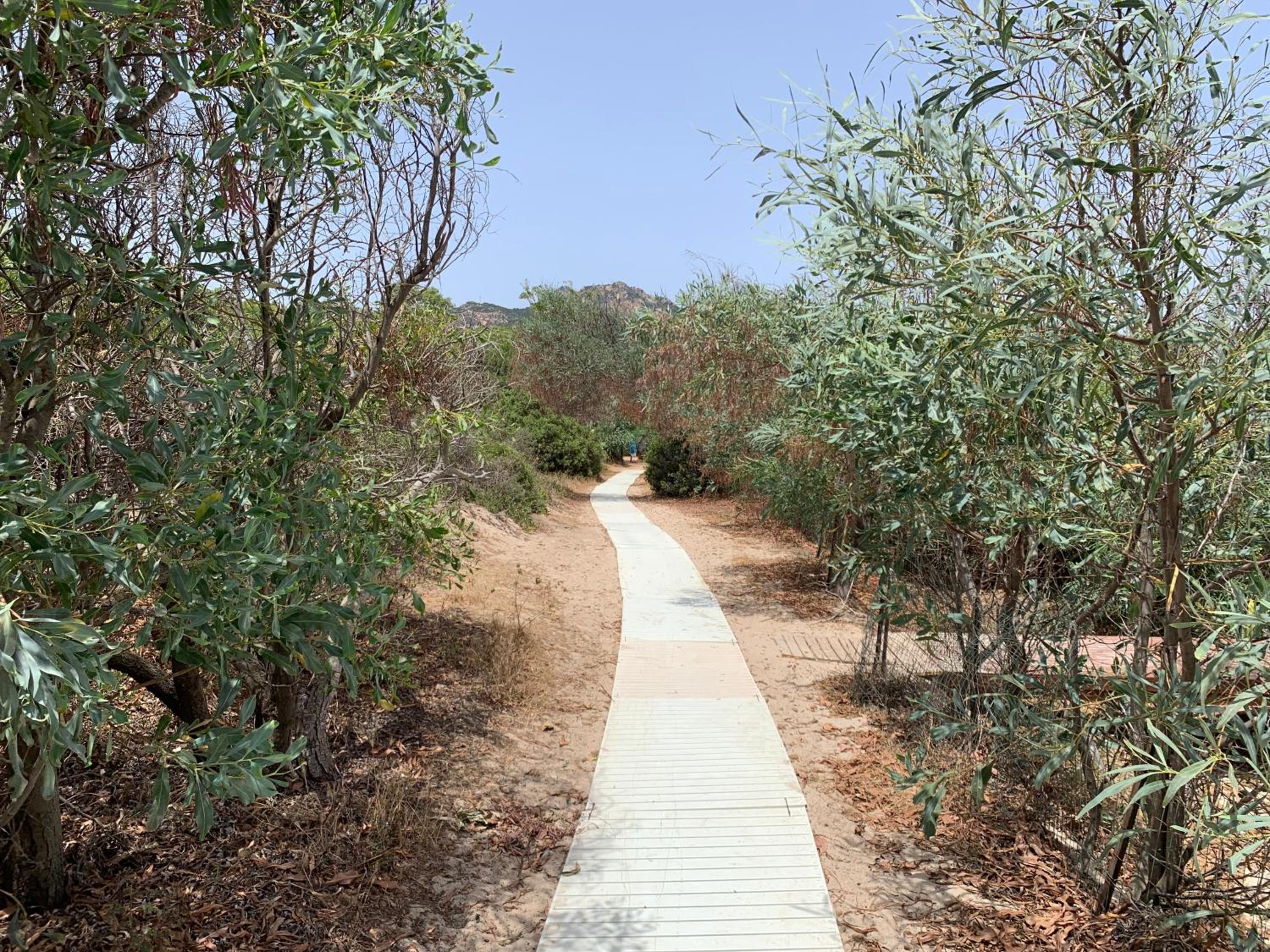 Photo 47