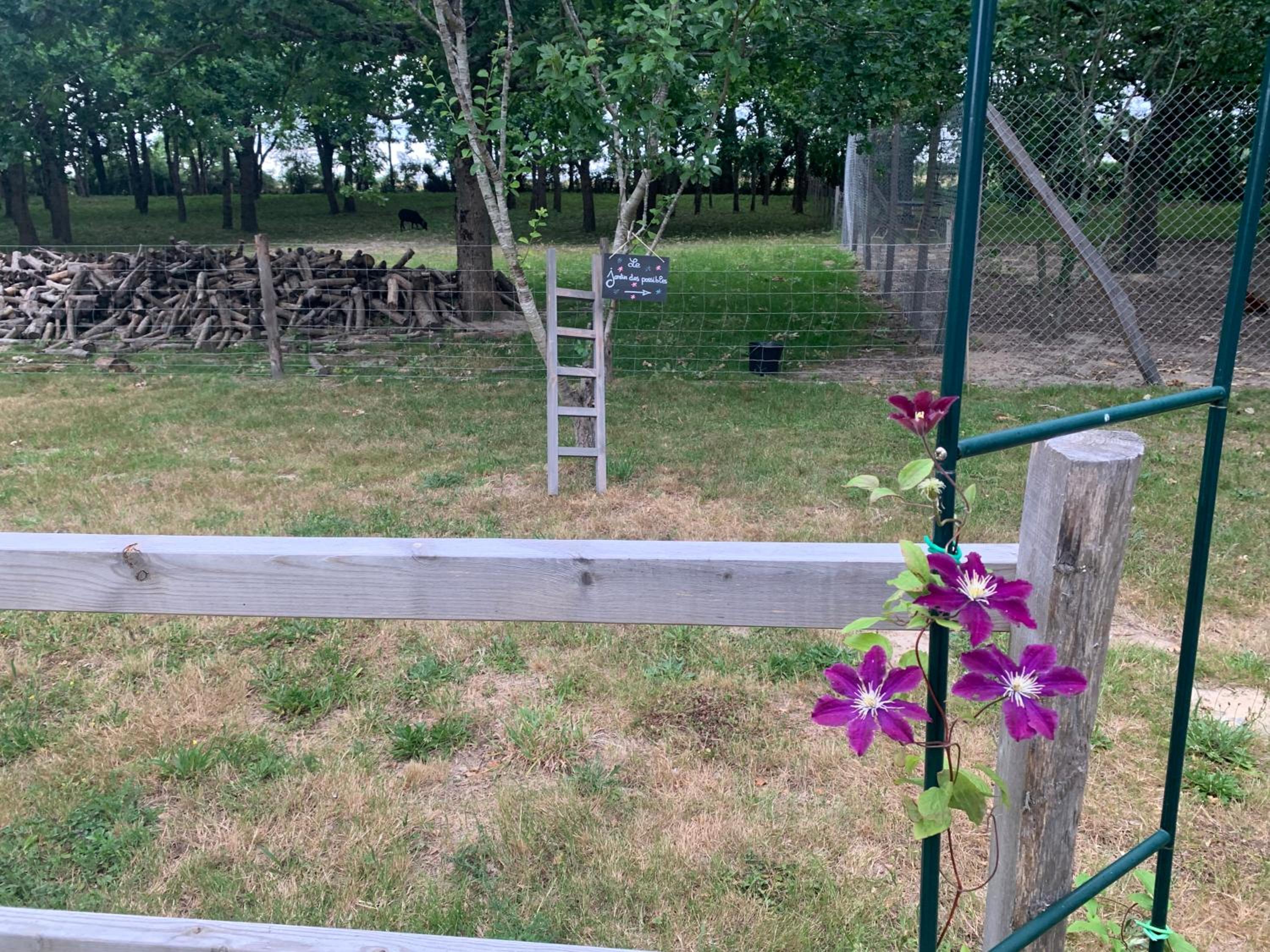 Photo 49
