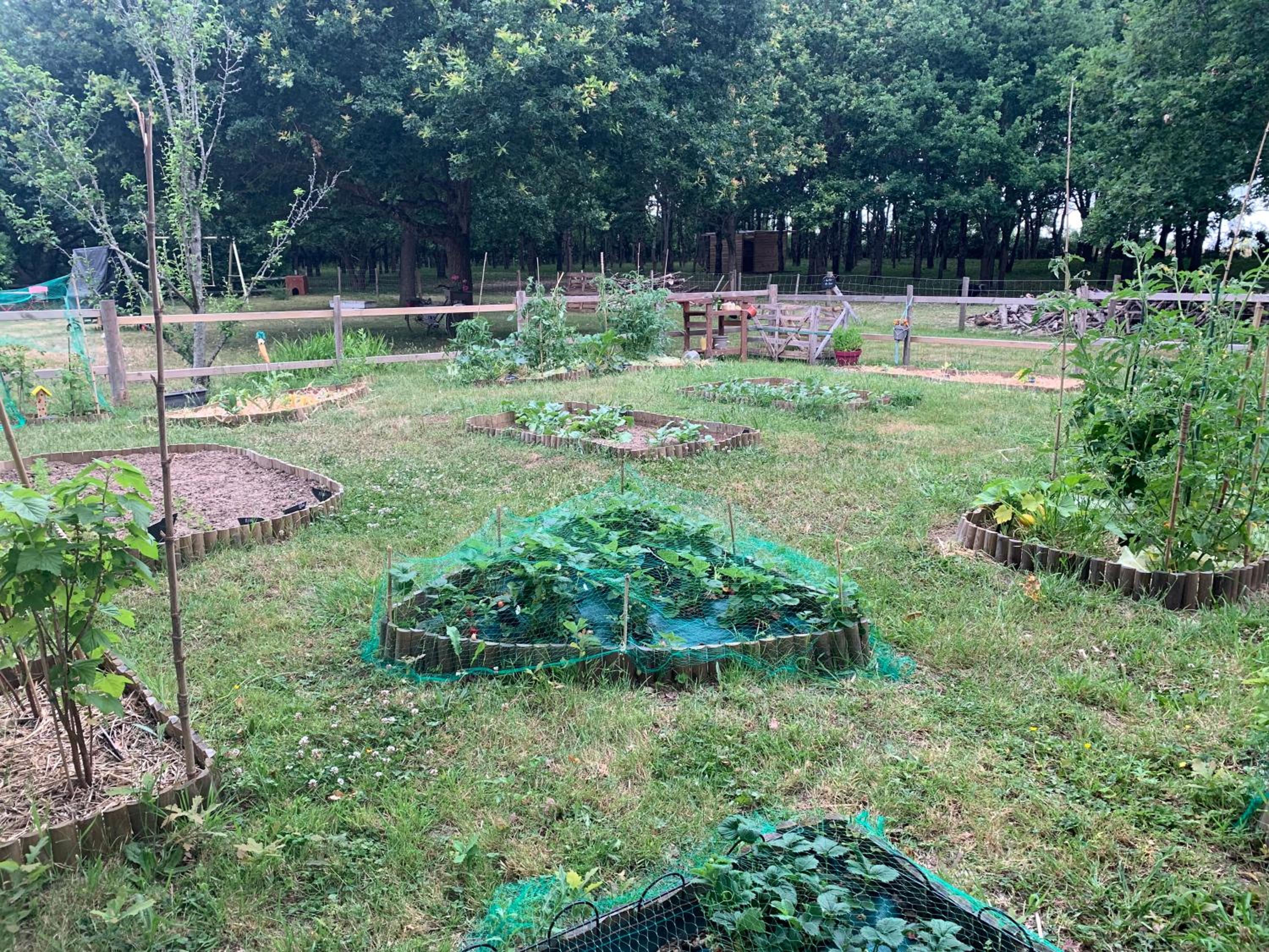 Photo 50