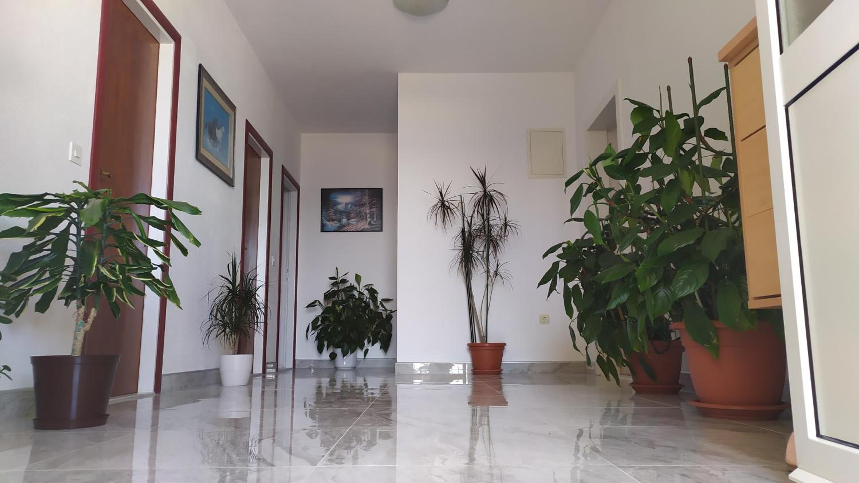 Apartman Nina