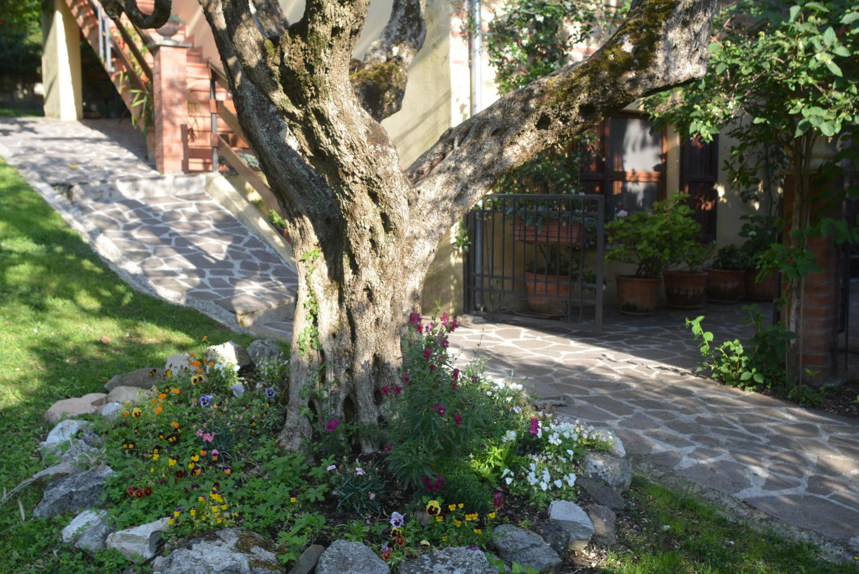 Photo 21