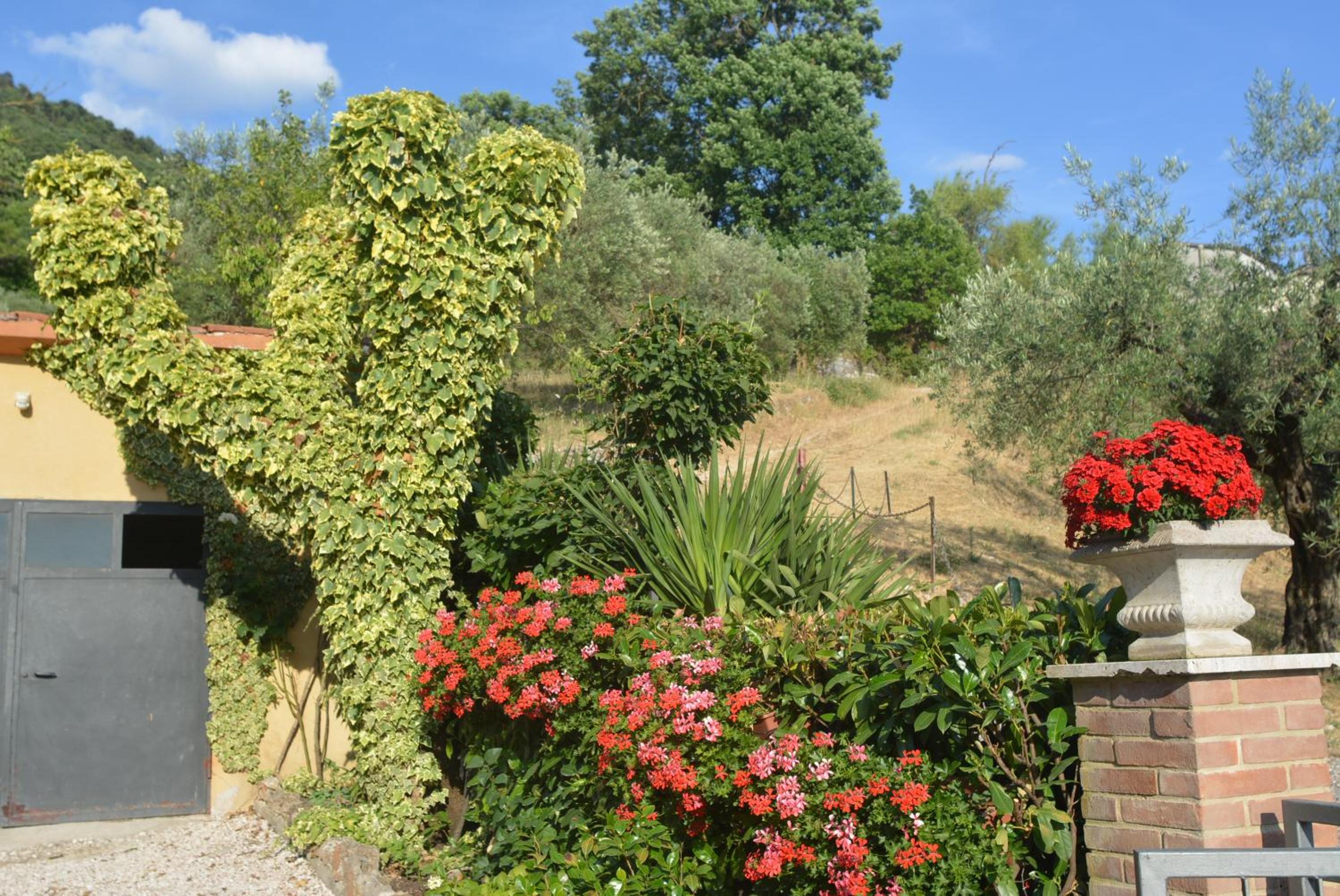 Photo 7