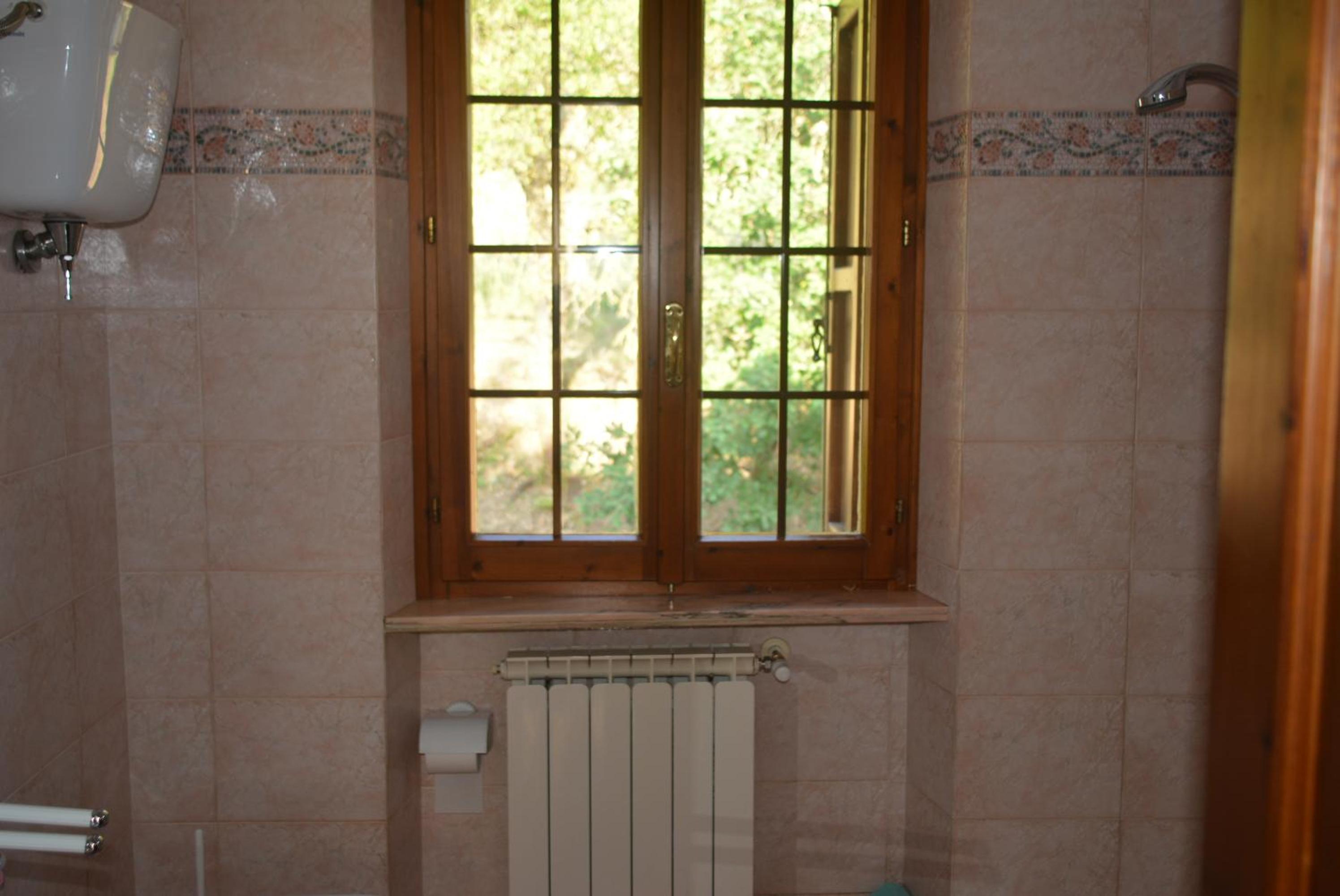 Photo 38