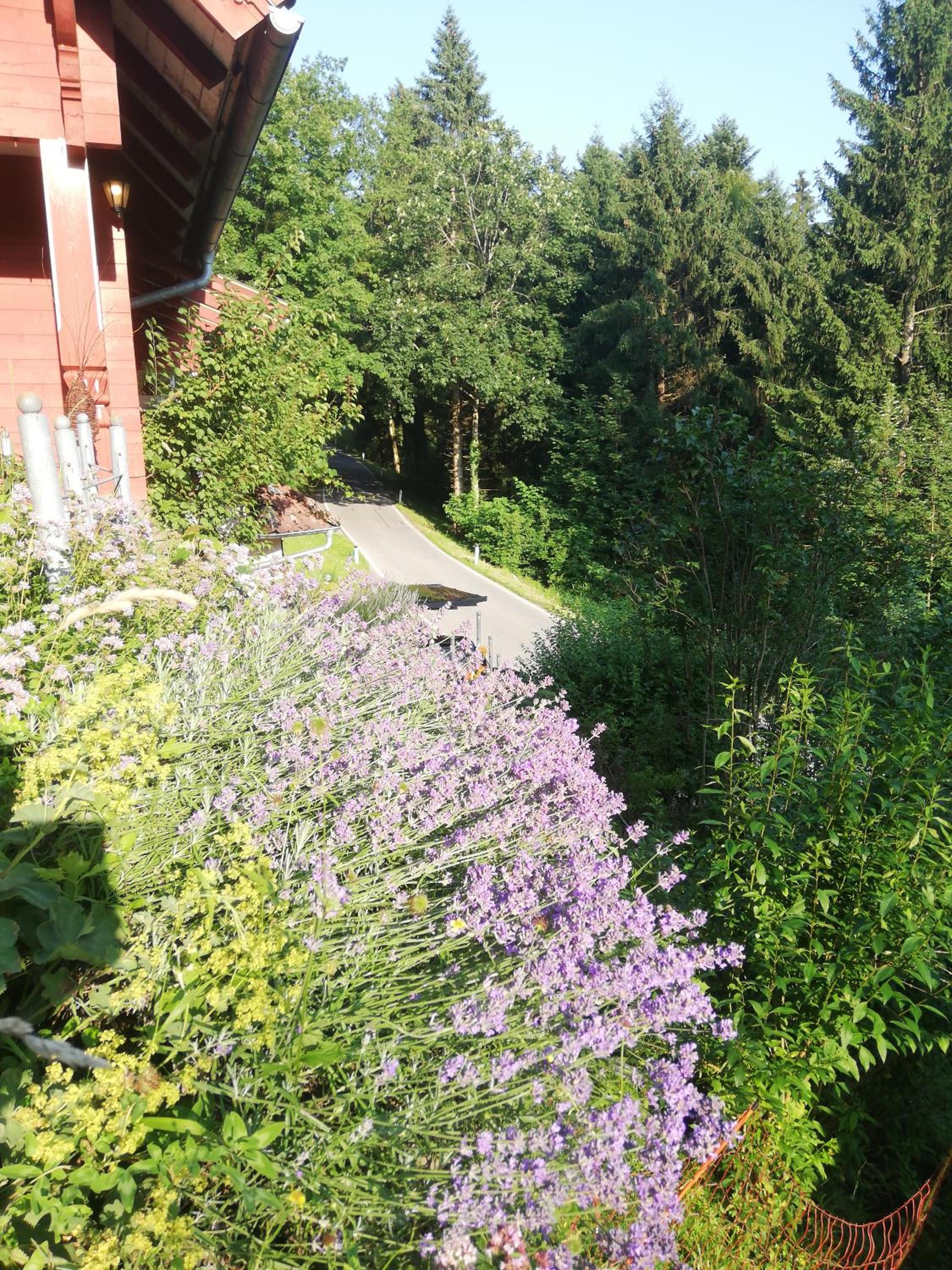 1 ZI Appartement Zauberwald